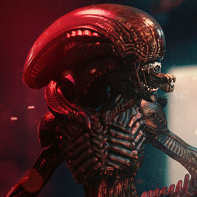 Adam milicevic xeno copy
