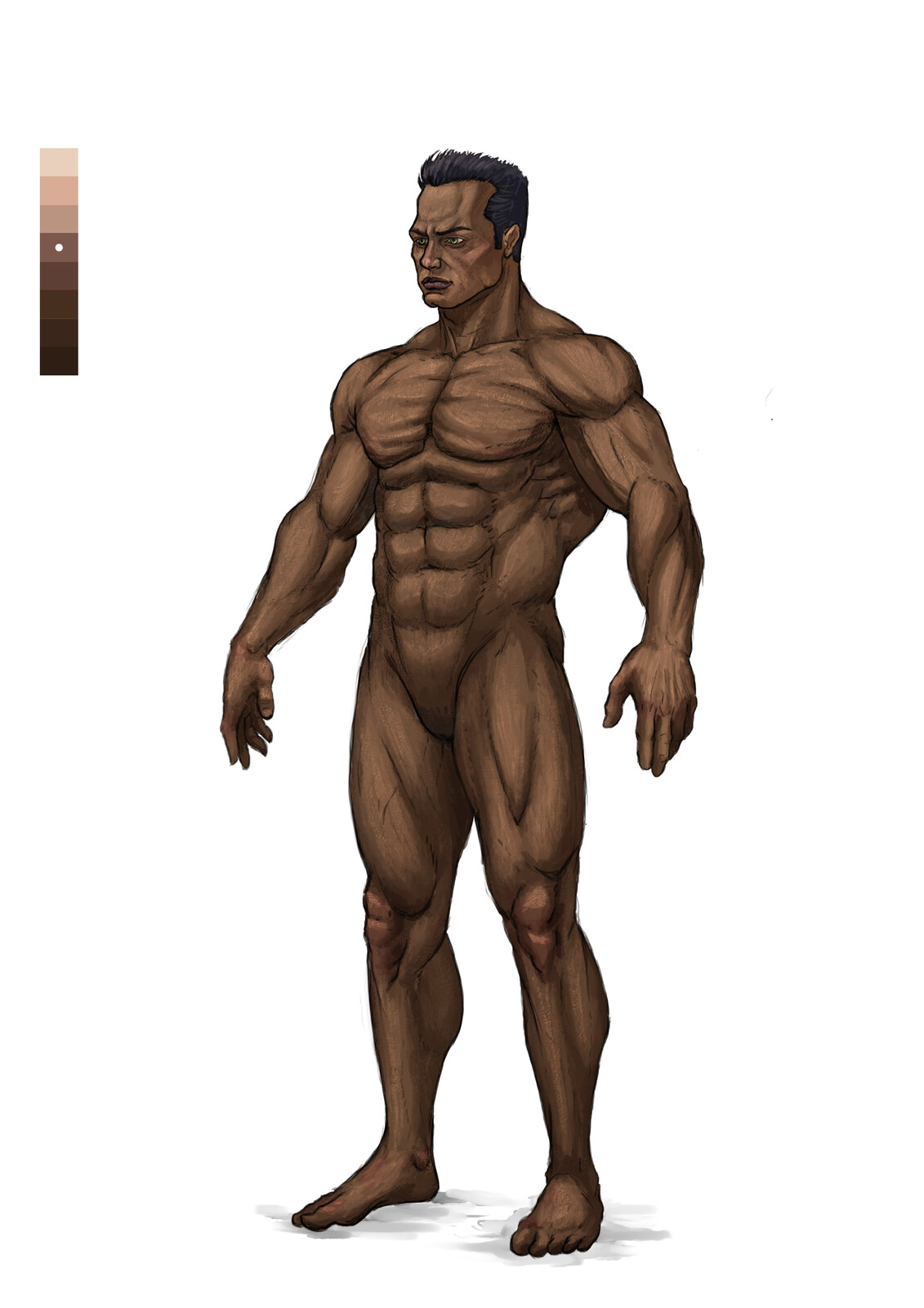 Human
(male of species).

Average Stats: 
Height: 1.79m
Weight:  88.3kg
Life span average: 79 years

Height &amp; weight vary between sub species.