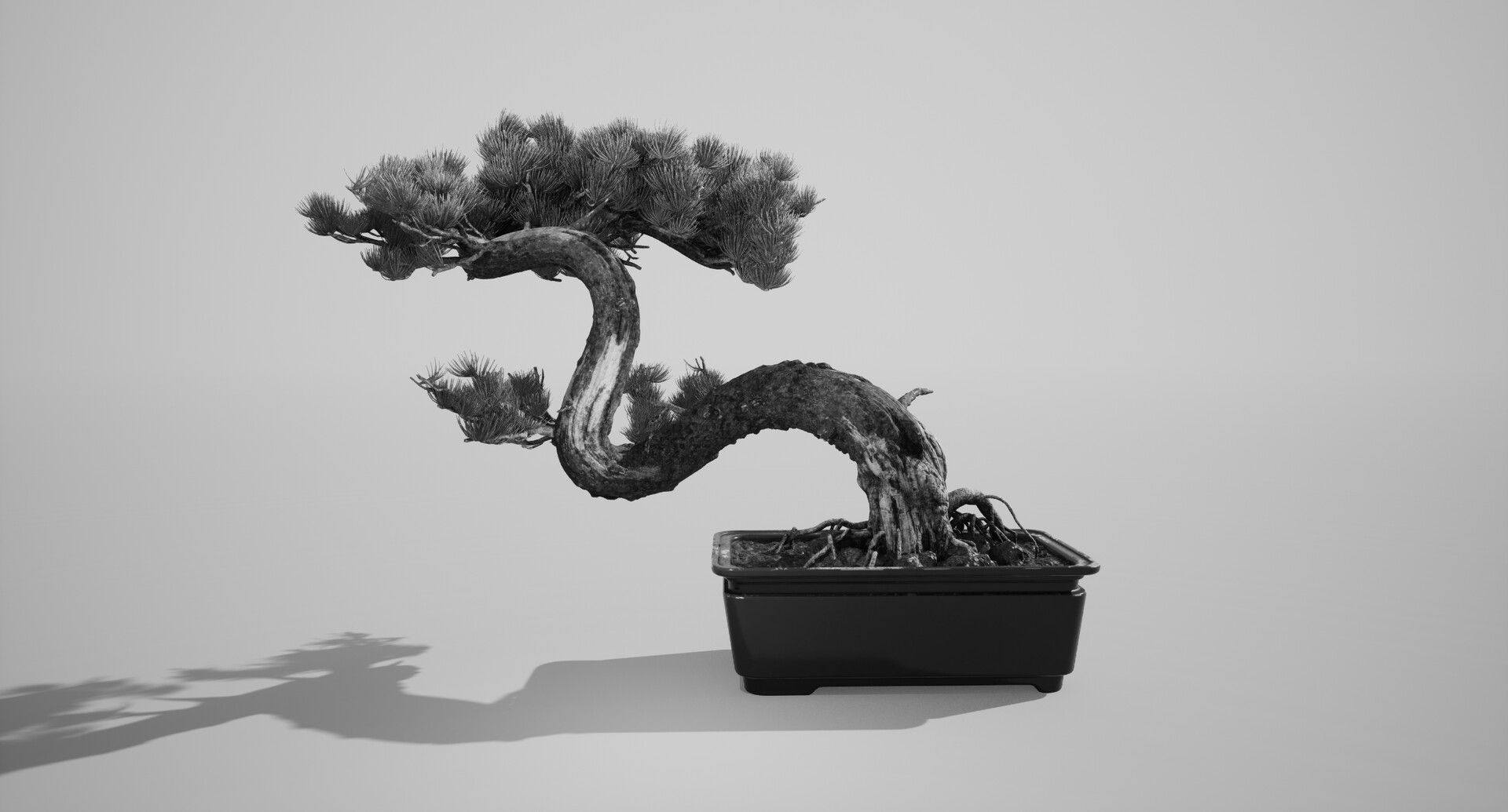 Bonsai Tree Wallpaper Black