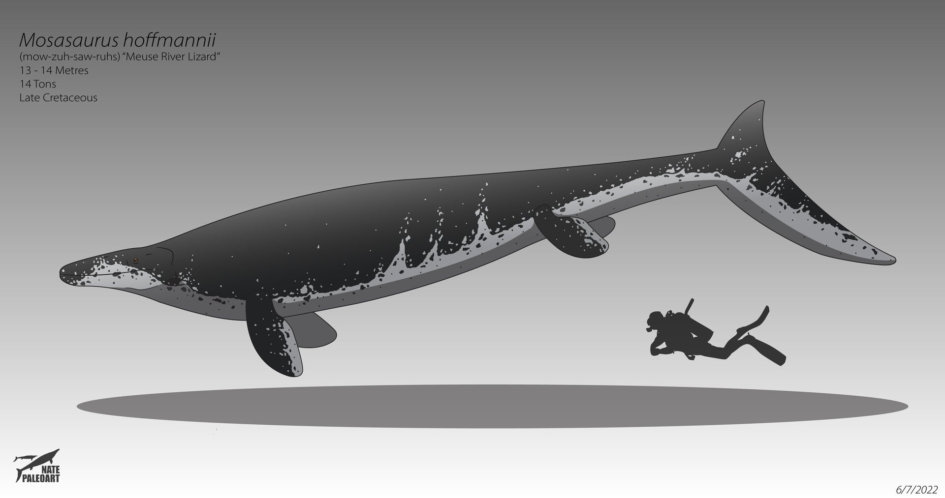 ArtStation Mosasaurus Hoffmannii 2022 Reconstruction artstation-mosasaurus-hoffmannii-2022-reconstruction
