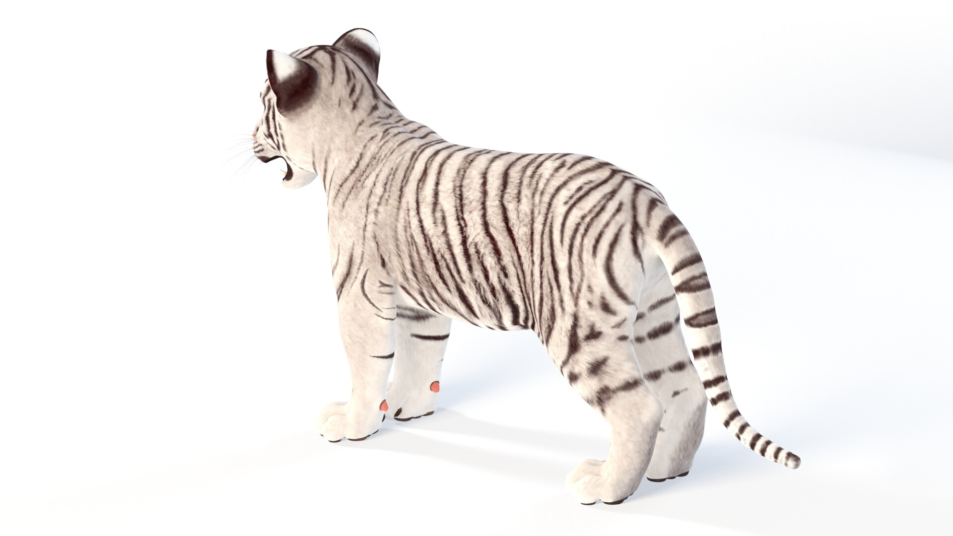 335,753 White Tiger Images, Stock Photos, 3D objects, & Vectors