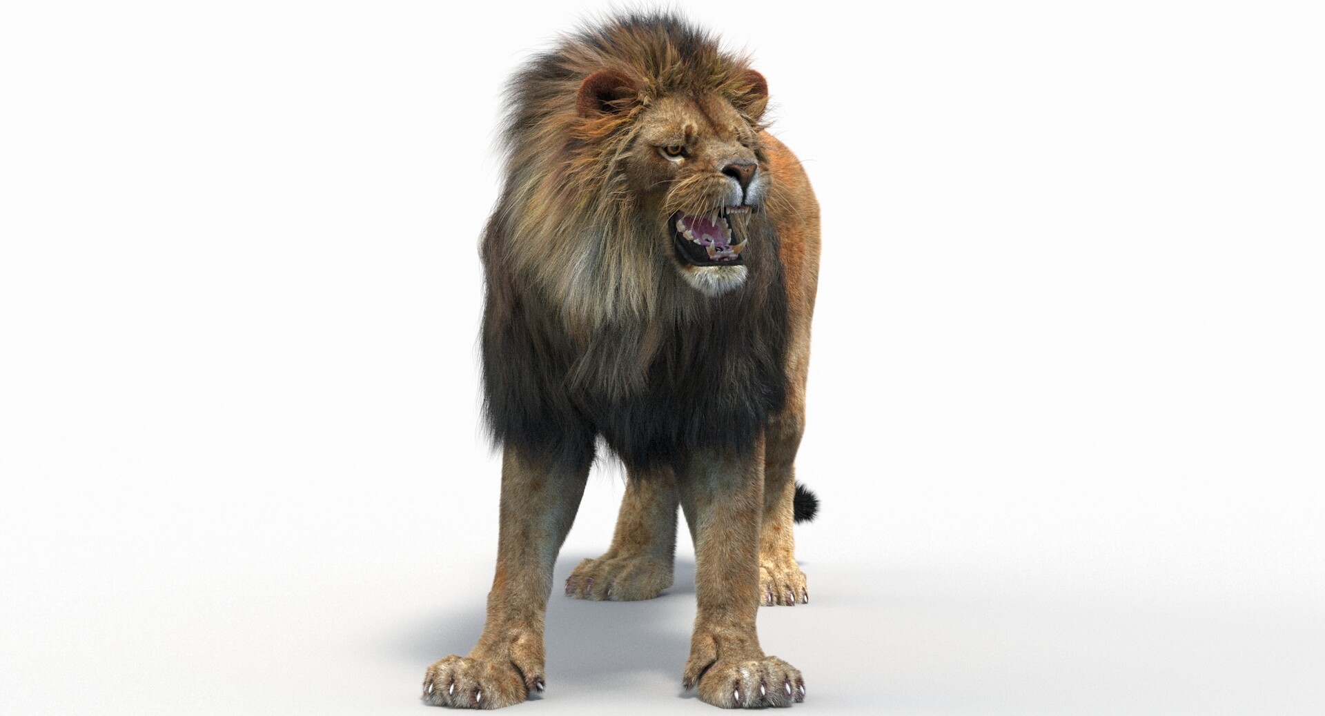 ArtStation - Lion 3d Model Animated with Fur