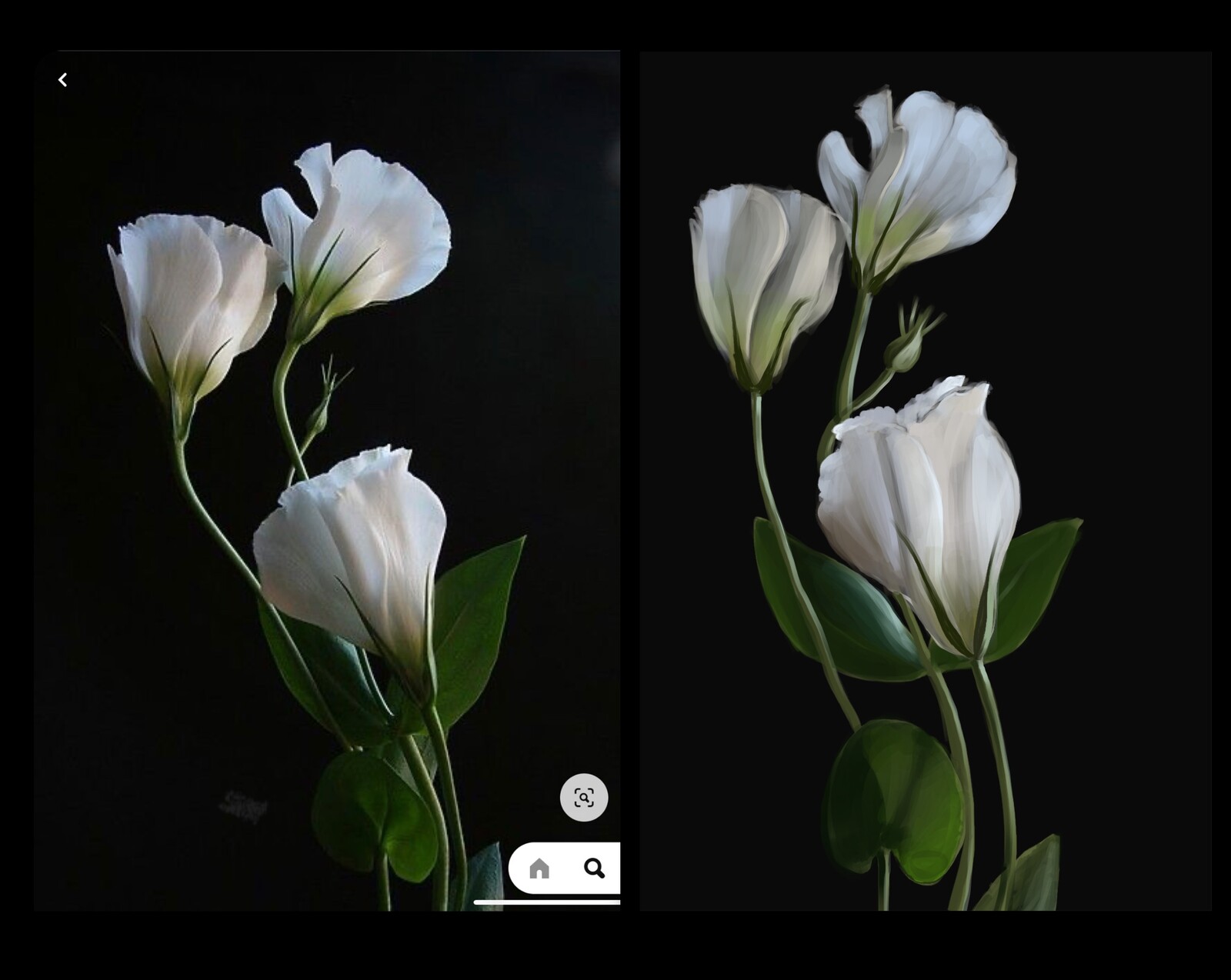 Photo Ref Studies