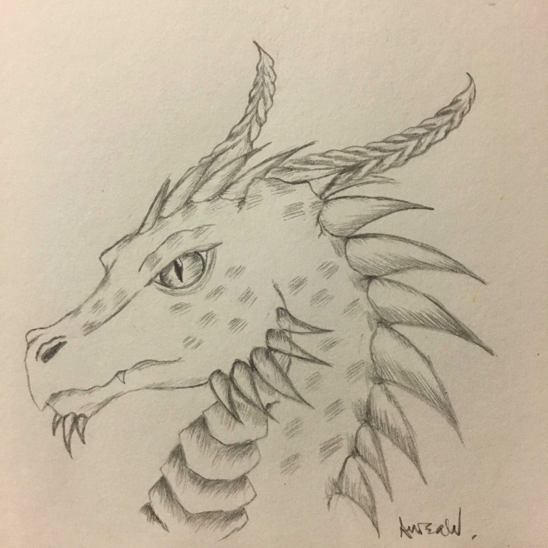 dragon head drawings in pencil