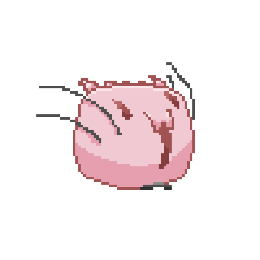 Cat Roll.