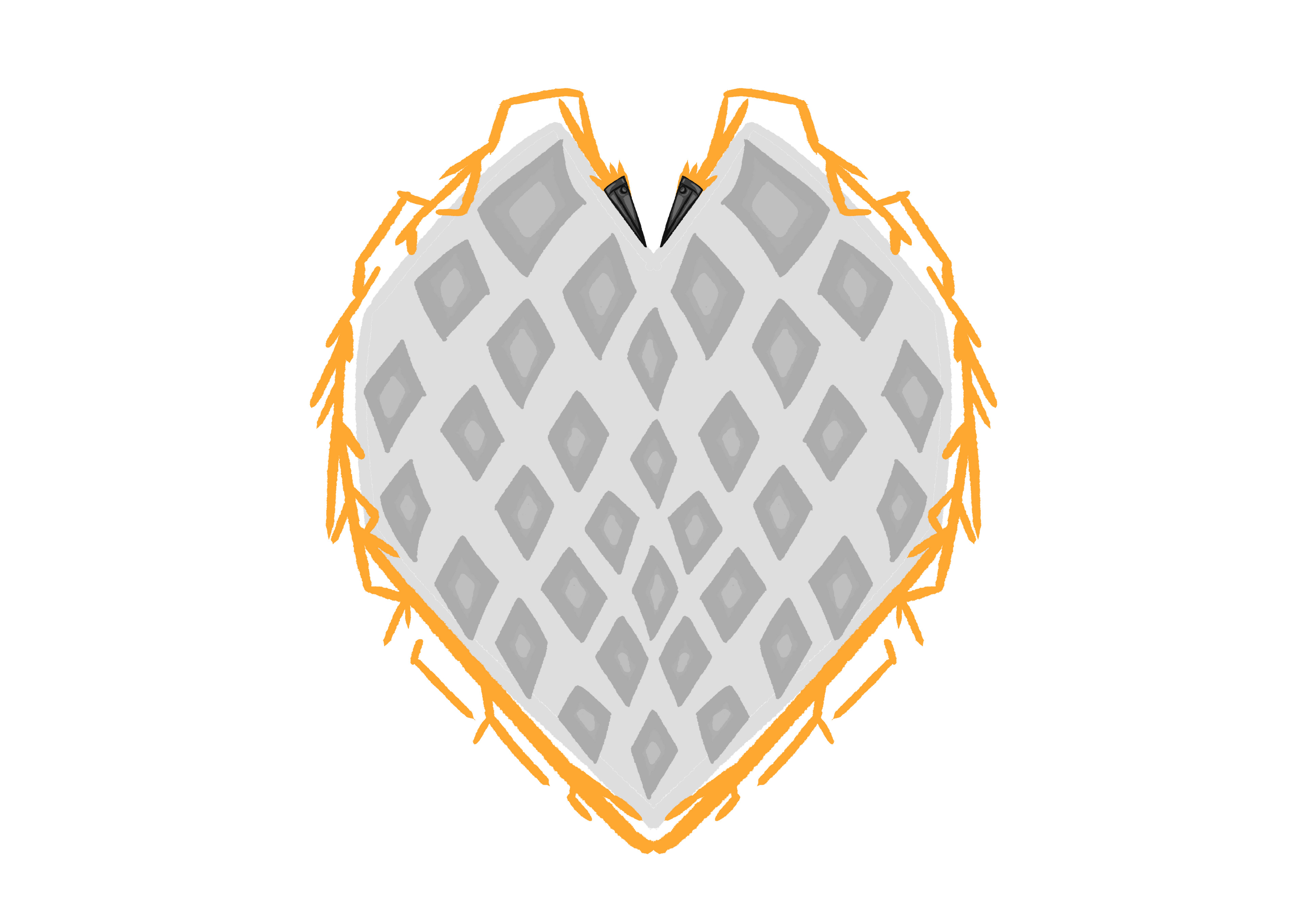 Wings Shield
