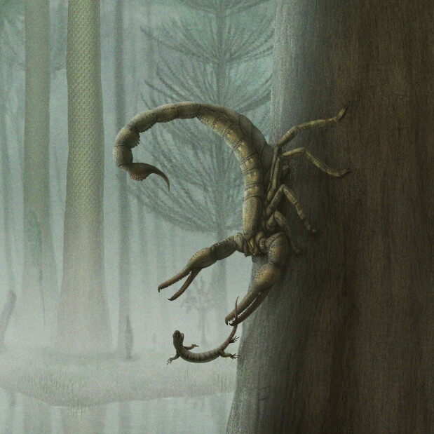 Pulmonoscorpius and Westlothiana