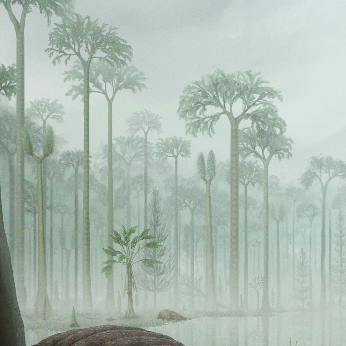 Forest detail