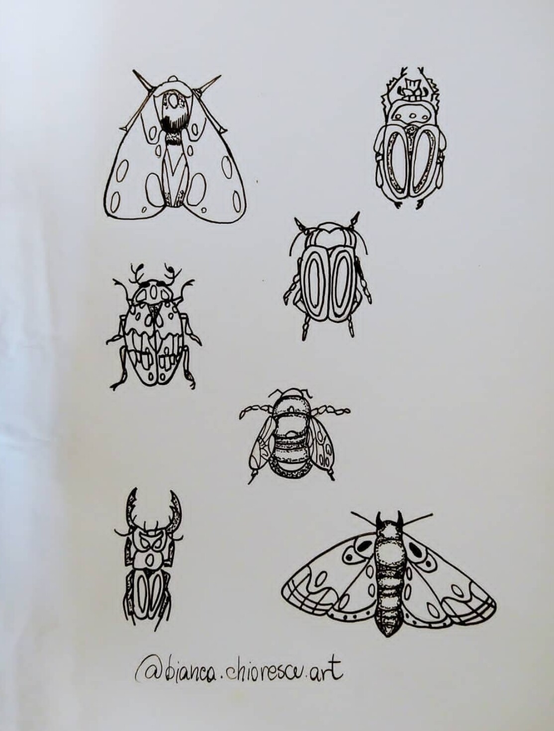 ArtStation Study, fineliner