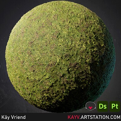 Kay vriend dalle2 moss beauty3
