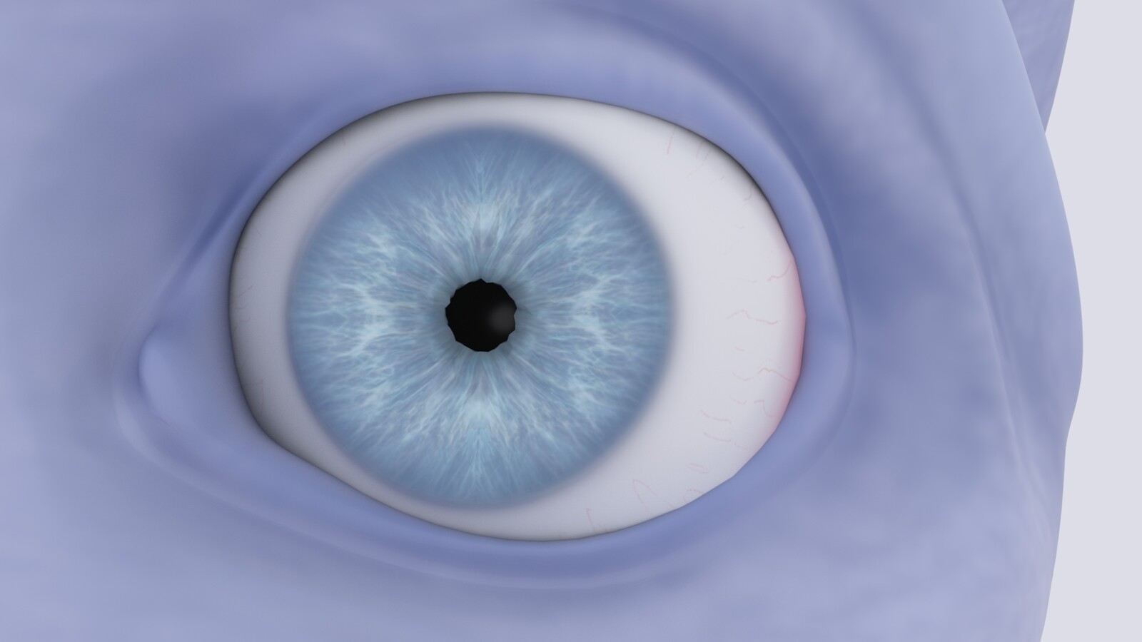 Close-up of Luna's eyes.