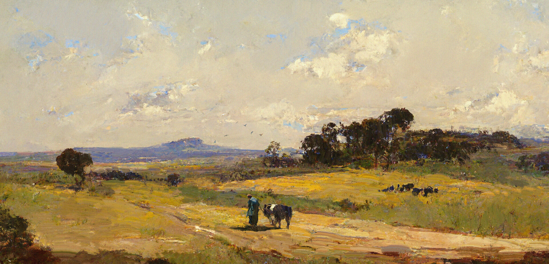 Daniel Oxford