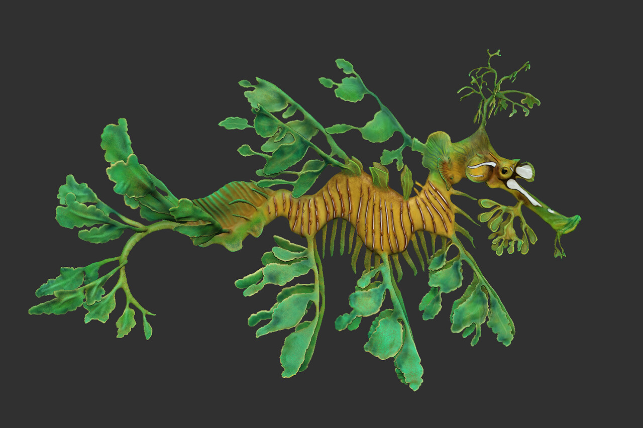 Leafy Sea Dragon model rendered in ZBrush