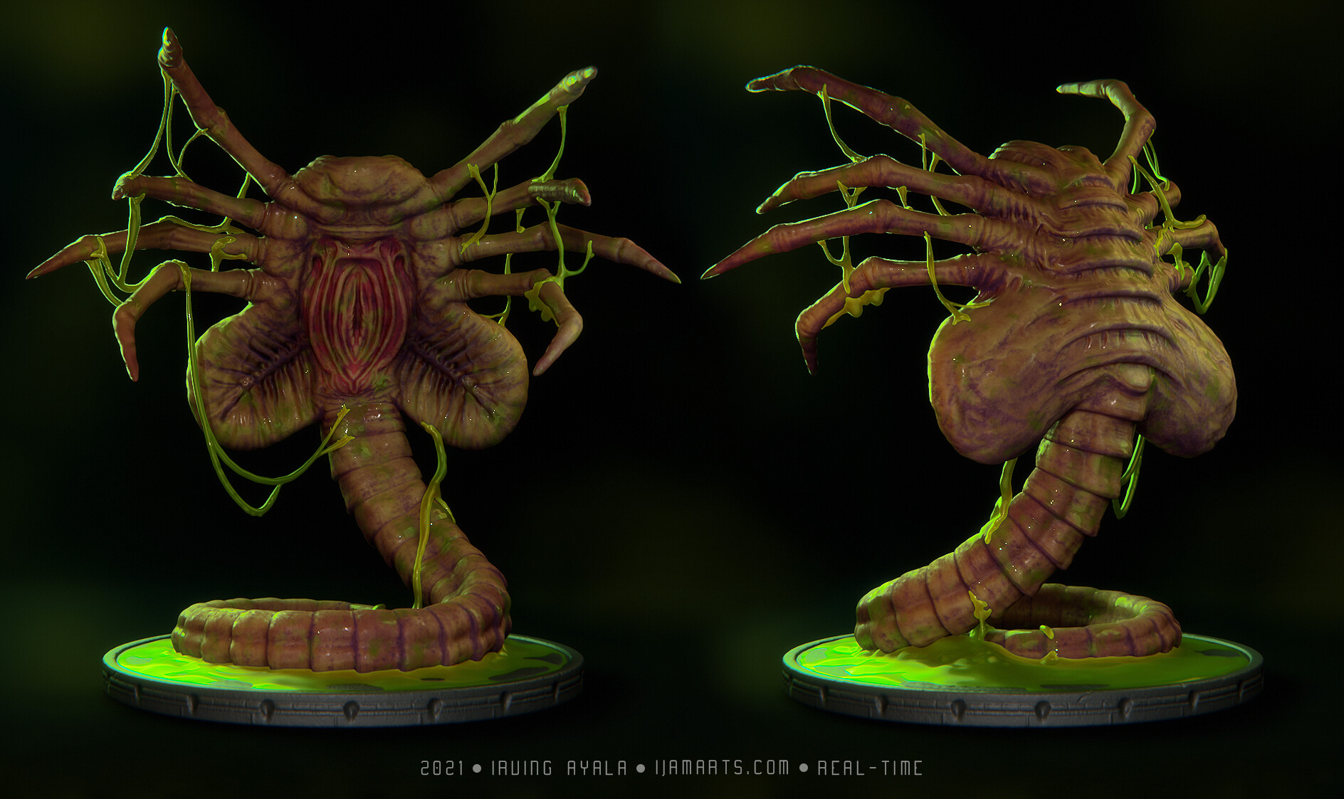 Xenomorph Facehugger