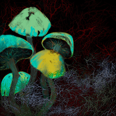 Neon Mushroom - Kidlit Illustration