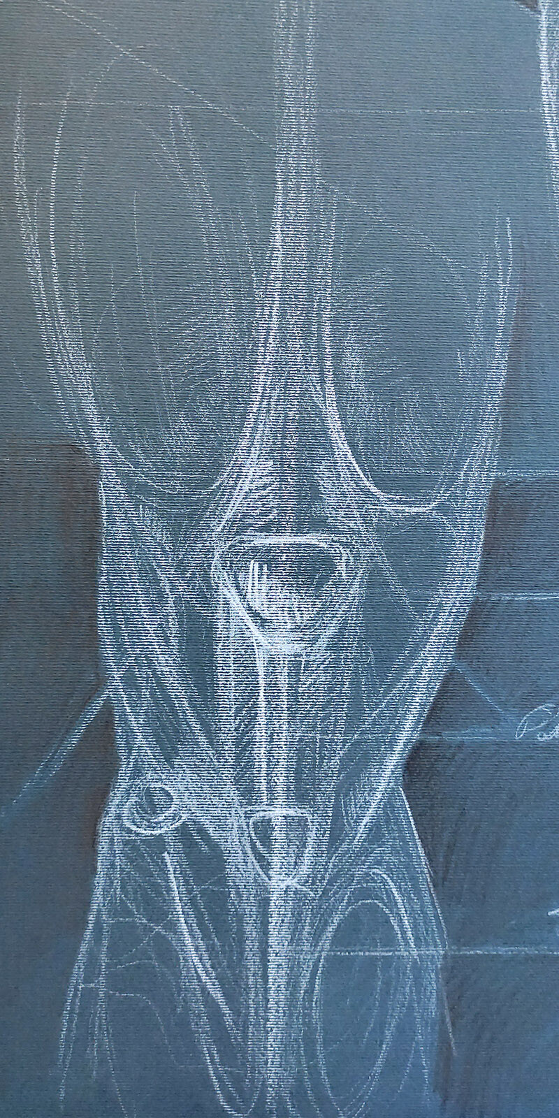 knee joint front view  (detail)