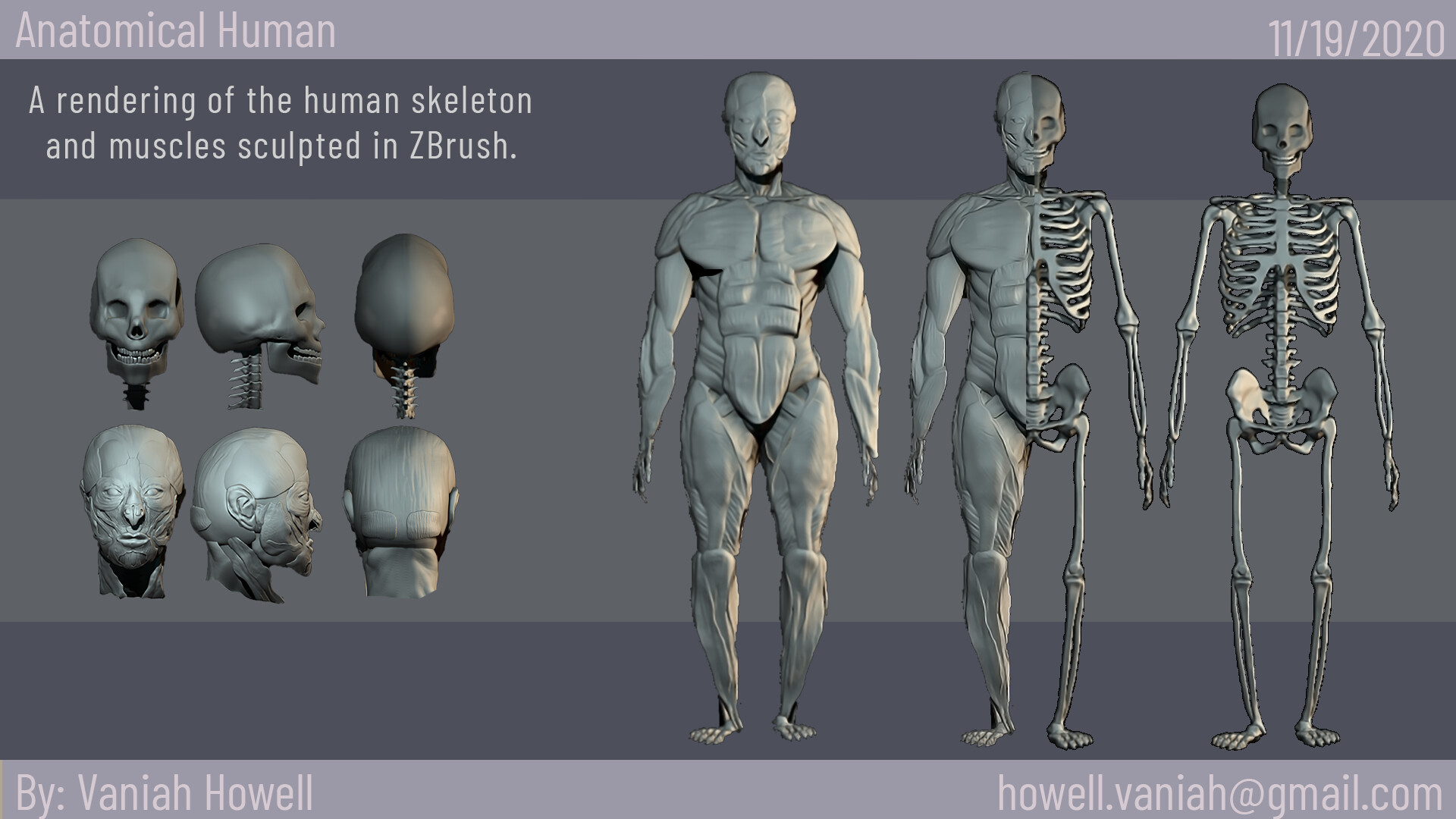 ArtStation - Skeletal and Muscles of the Human Body