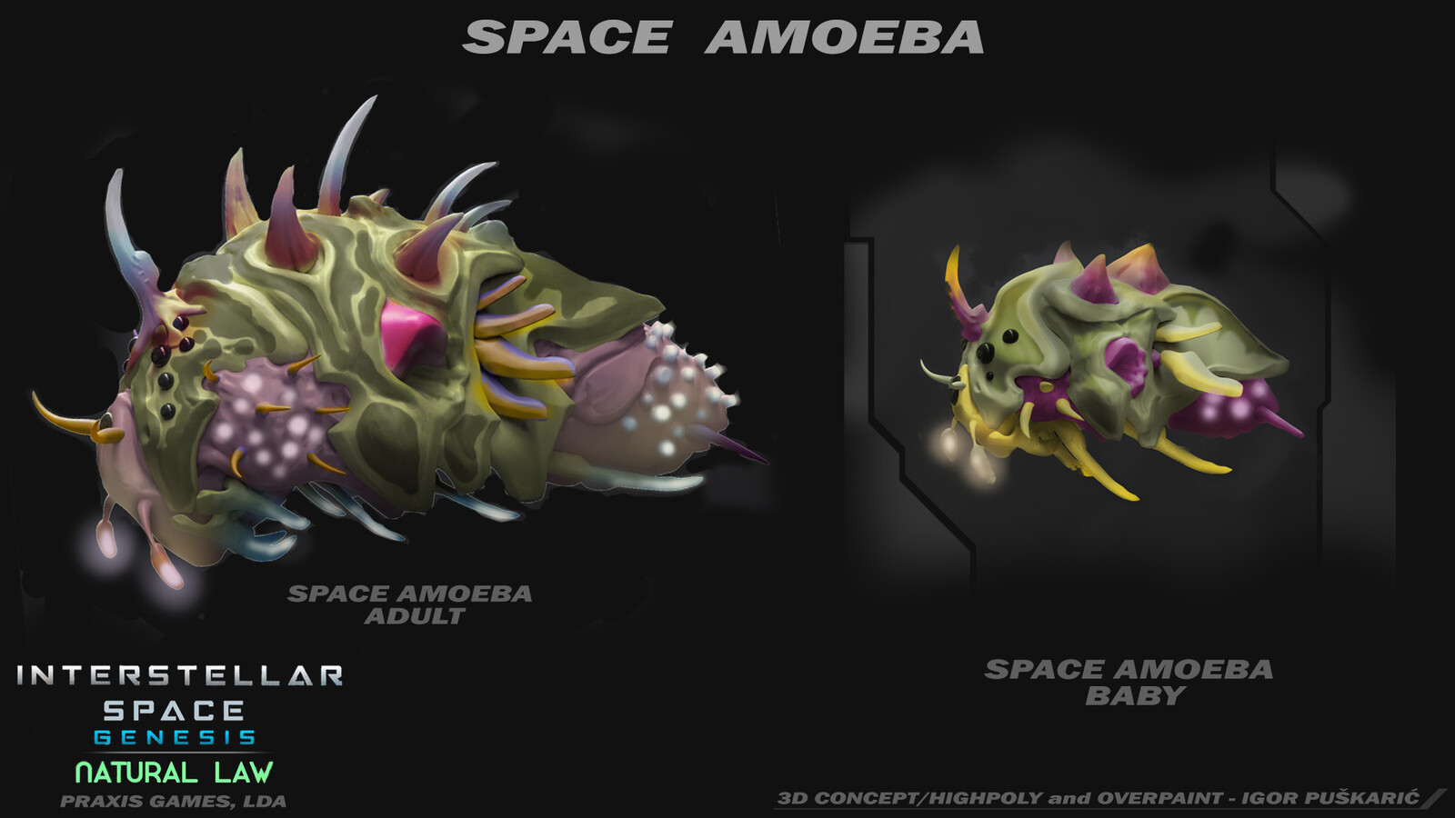 Space Amoeba - Adult and the Offspring