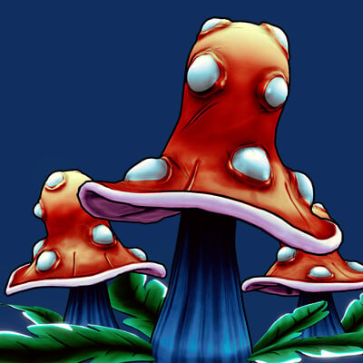 Toadstool Mushrooms