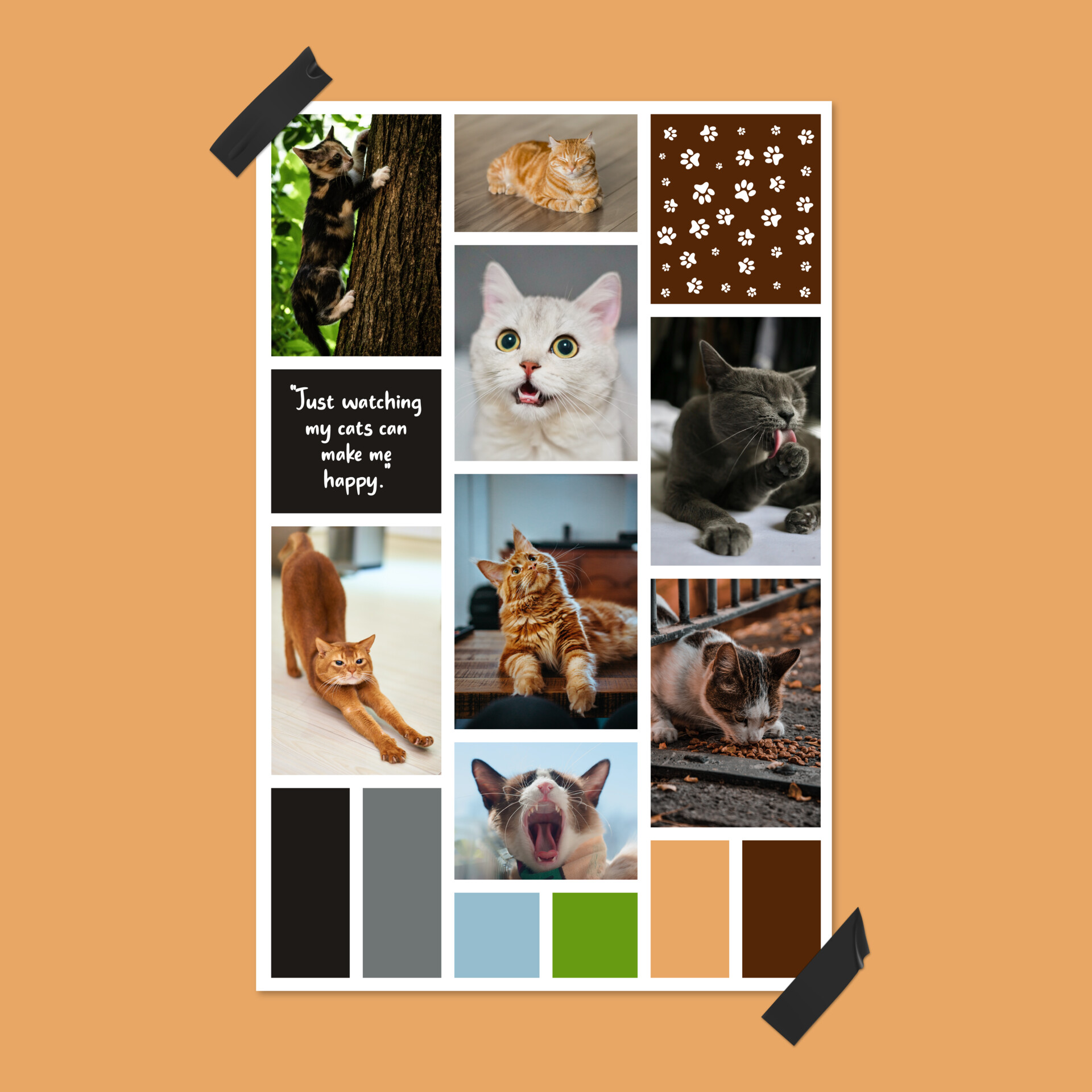 ArtStation - Cat Mood Board | Moodboard Design | Collage