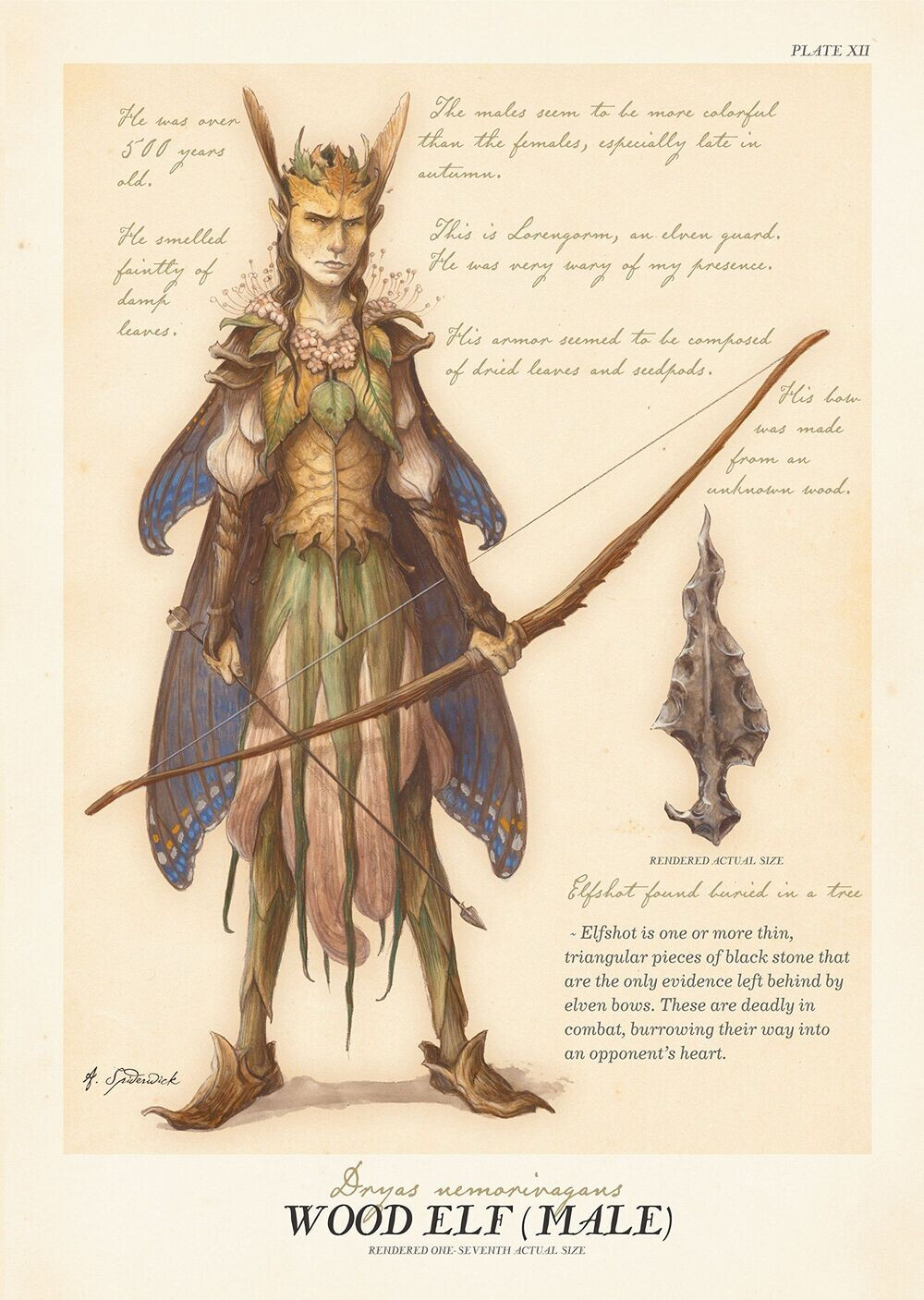 Wood Elf Concept from the Spiderwick Field guide