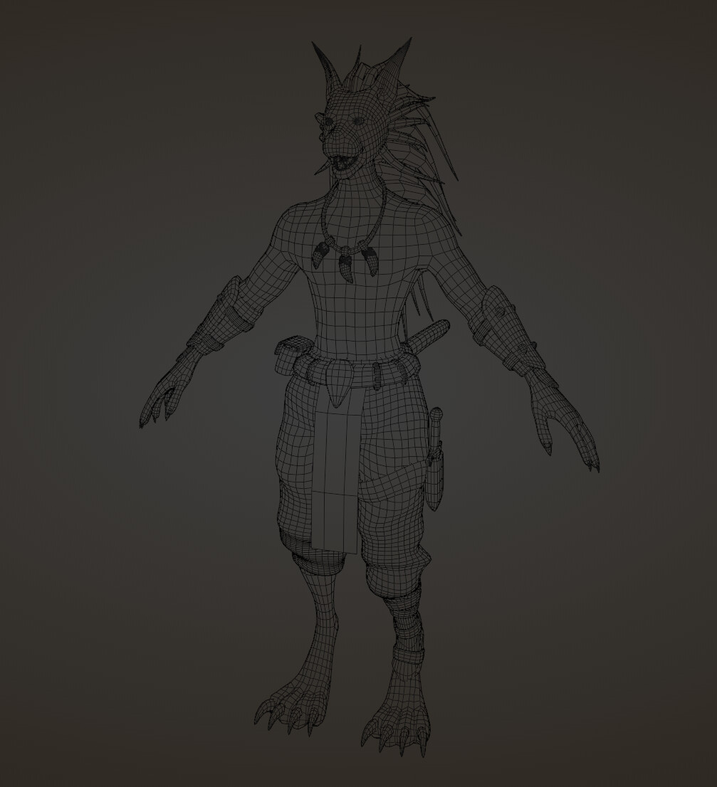 Wireframe (front)