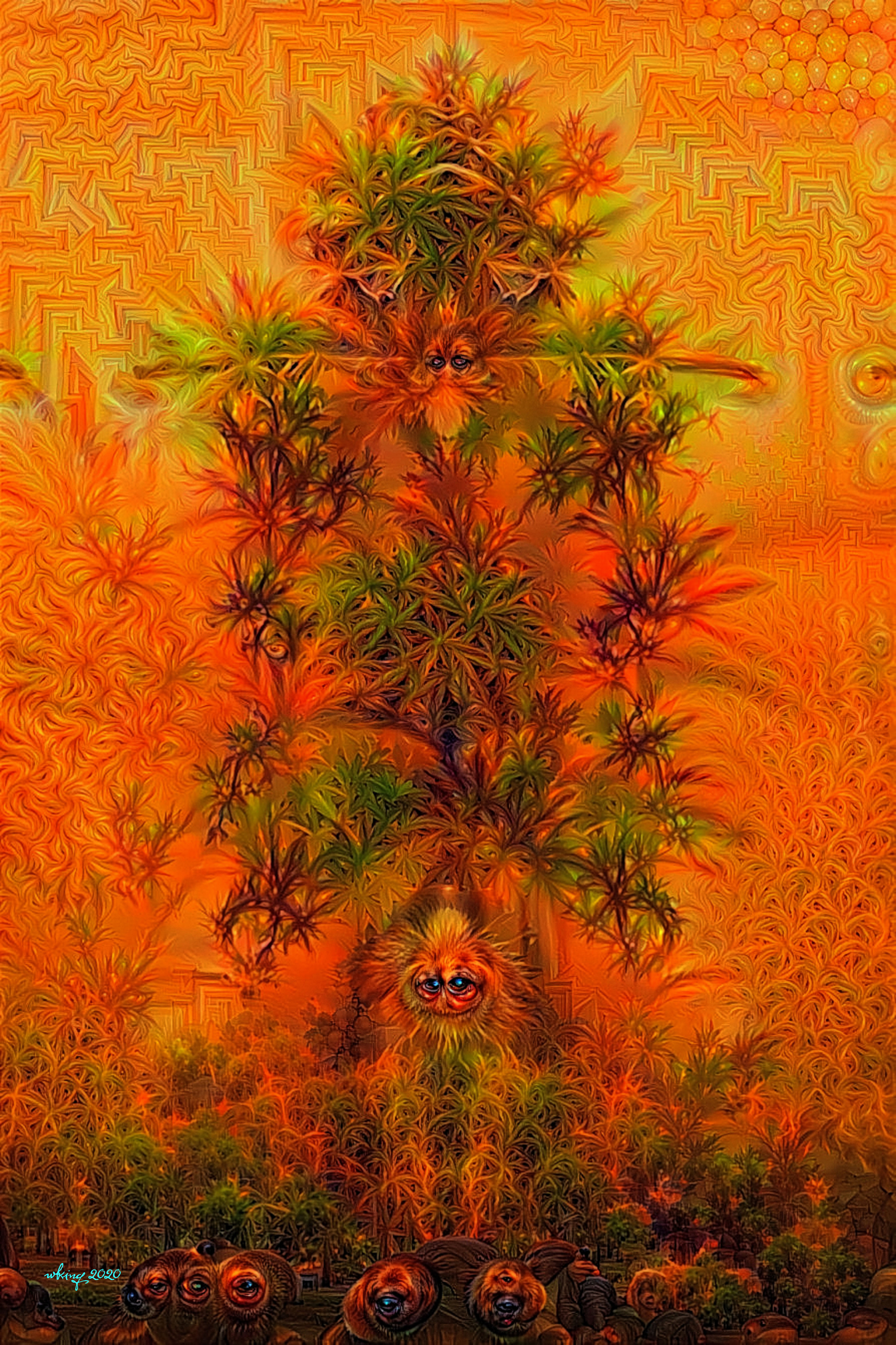 41
