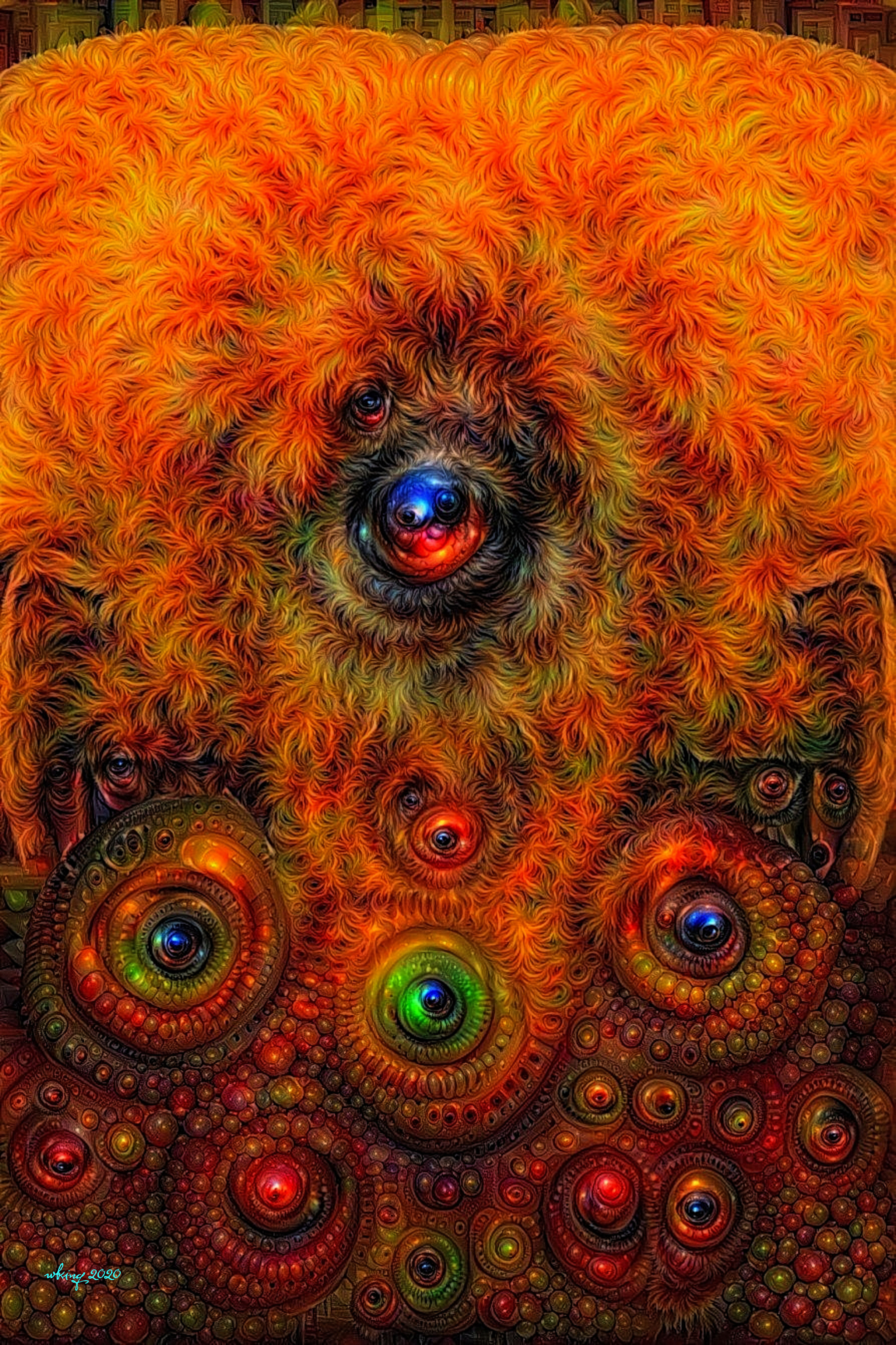 51