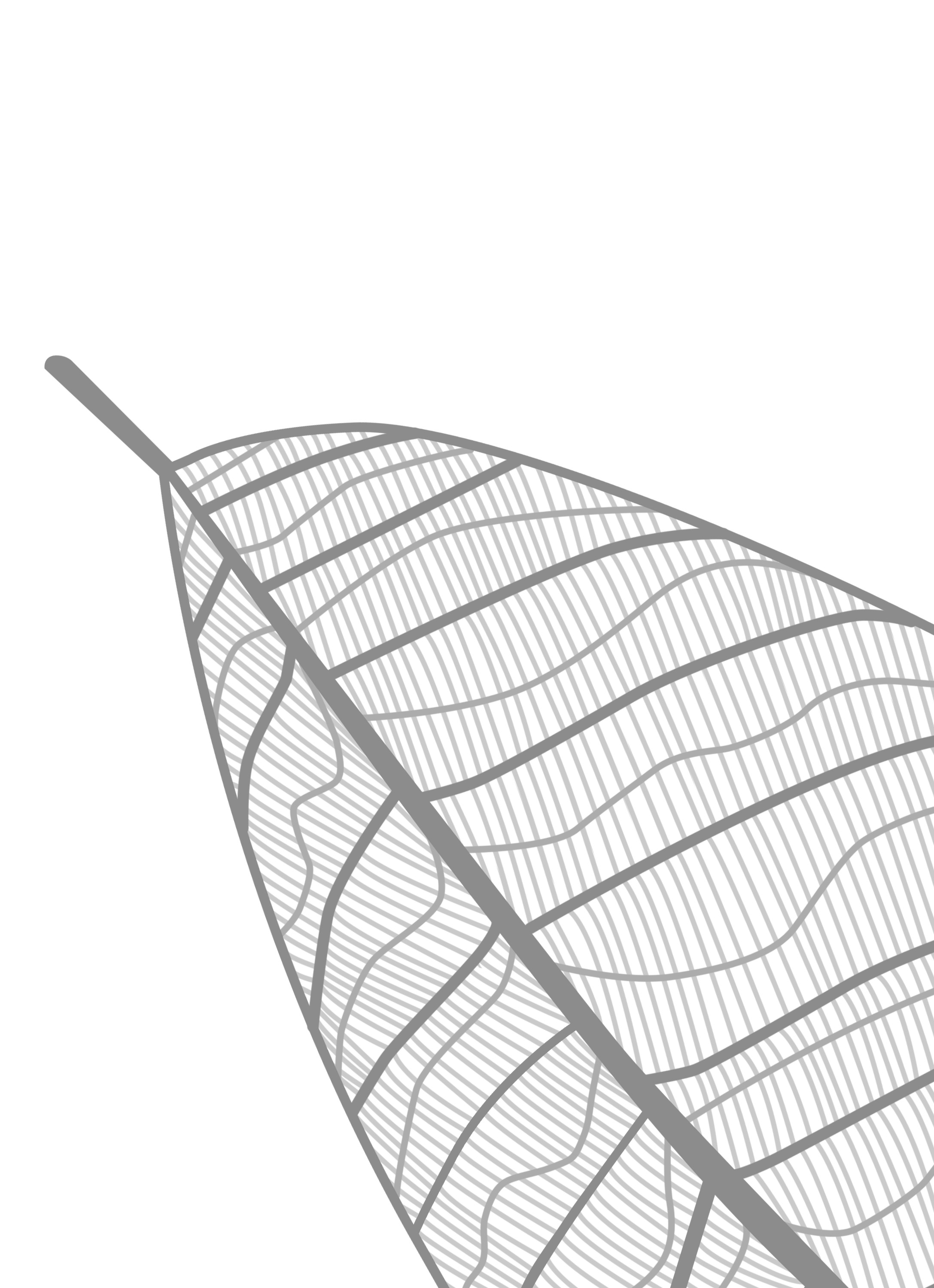One of many designs that did not make the final selection