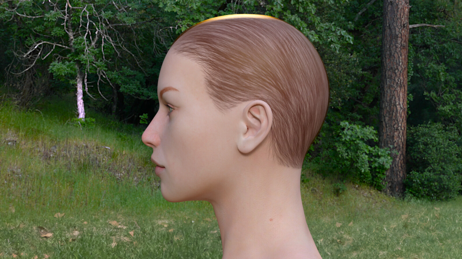 L Profile