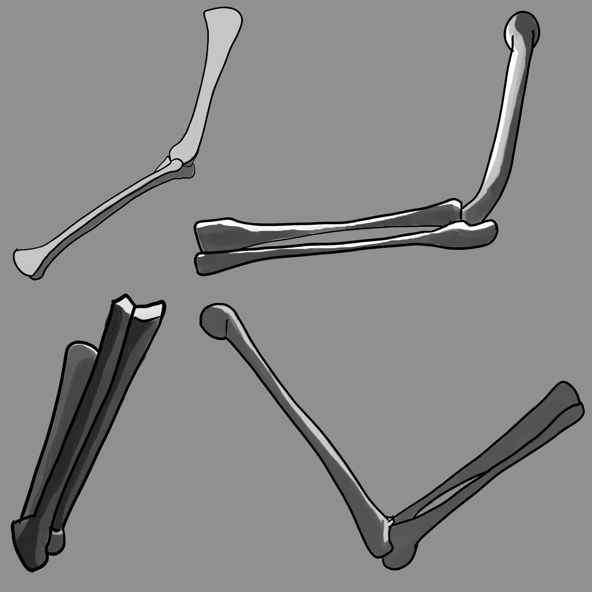 ArtStation - Study of Bones