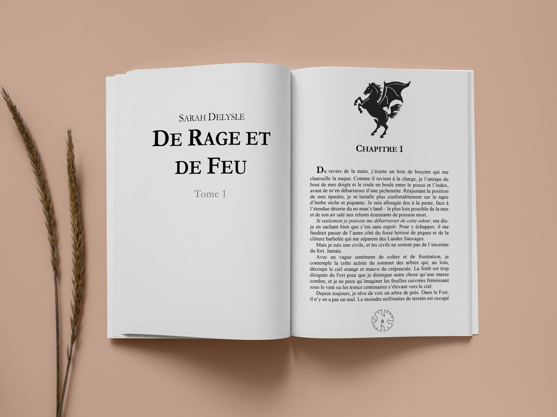 ArtStation Mise en page roman De Rage et de Feu