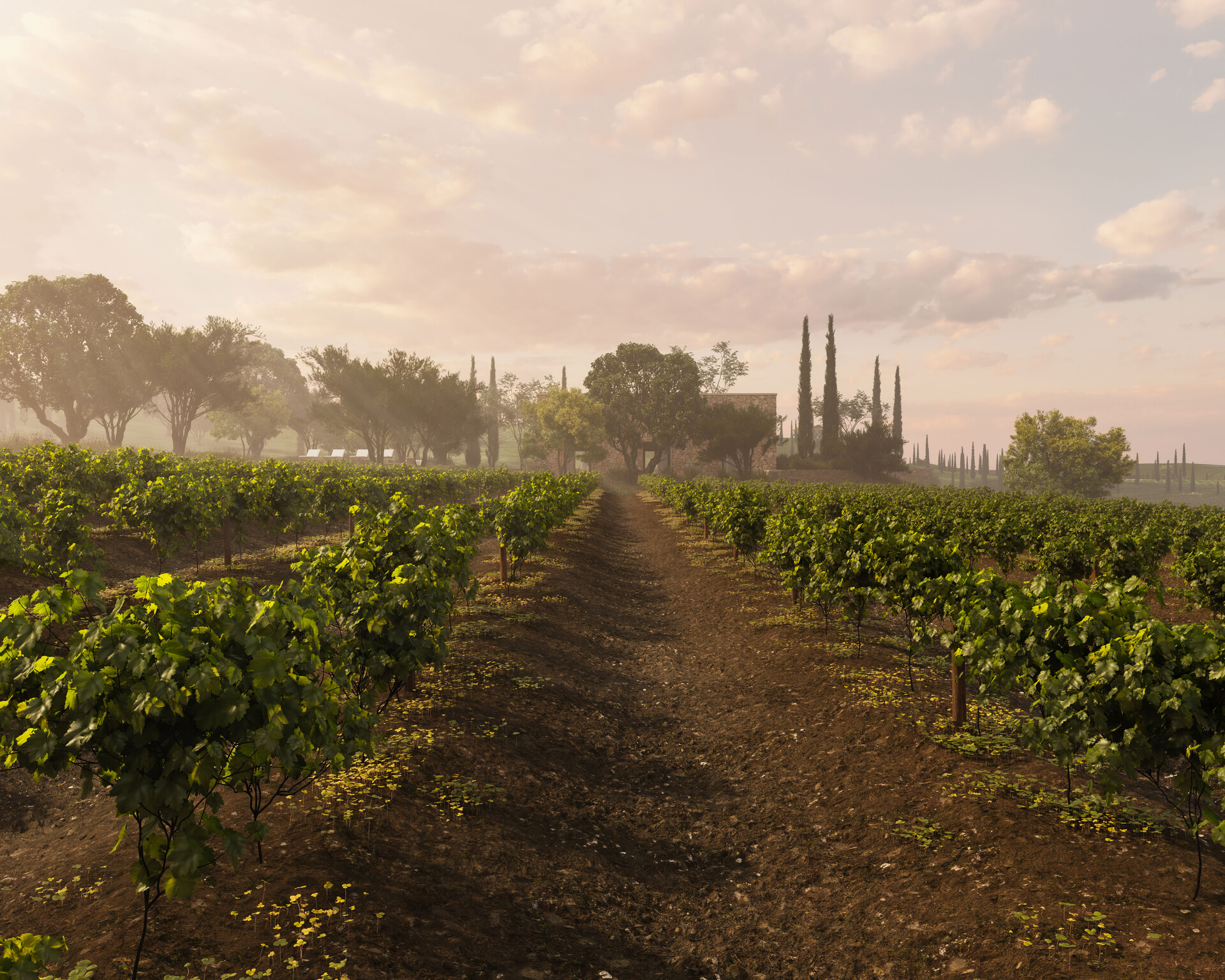 ArtStation NapaValley