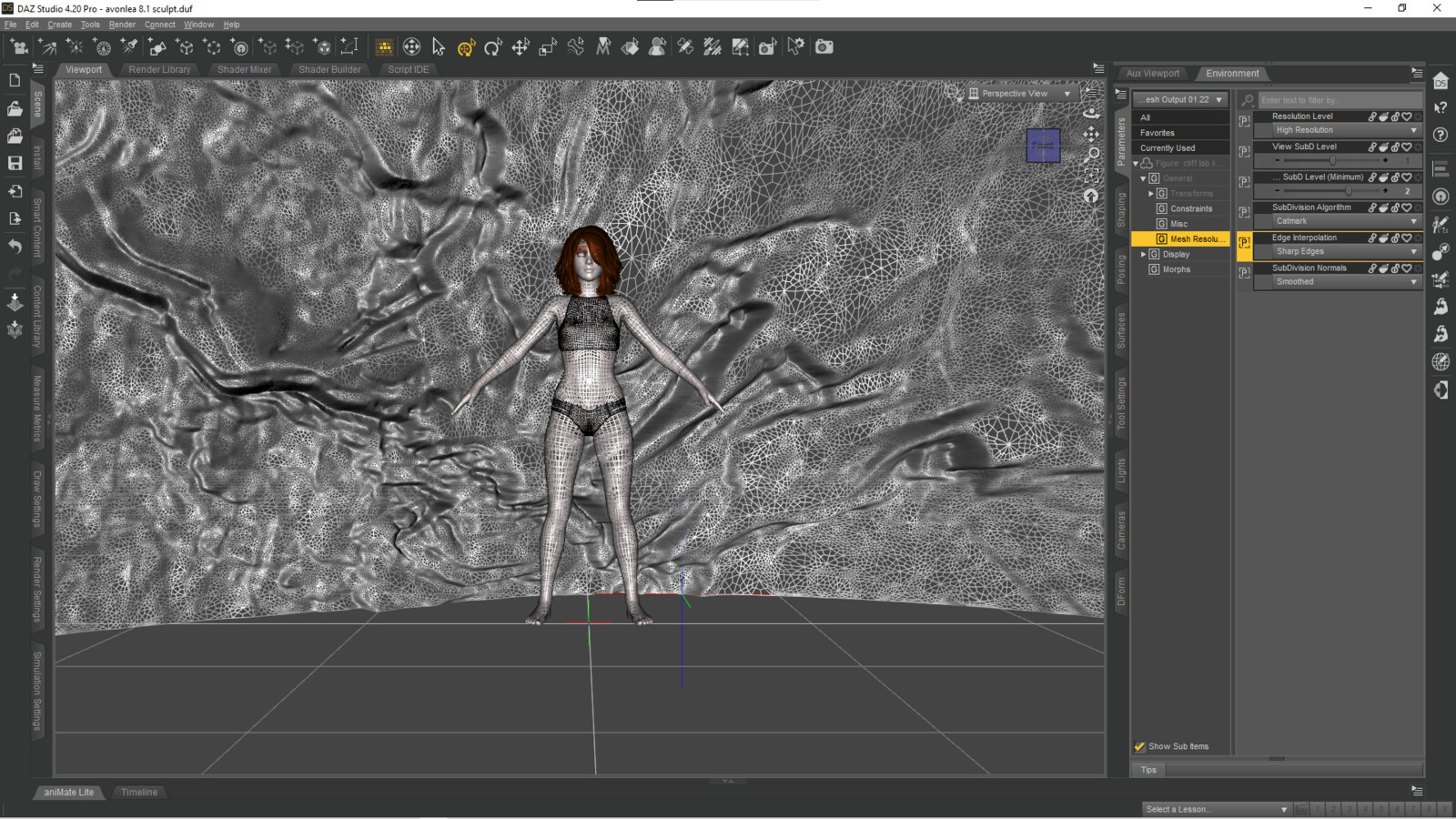 Cliff Lab II Mesh Import &amp; Subdivision