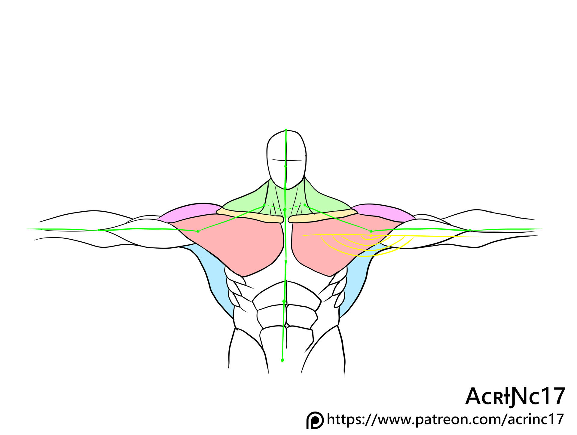 ArtStation How to rotate Arms
