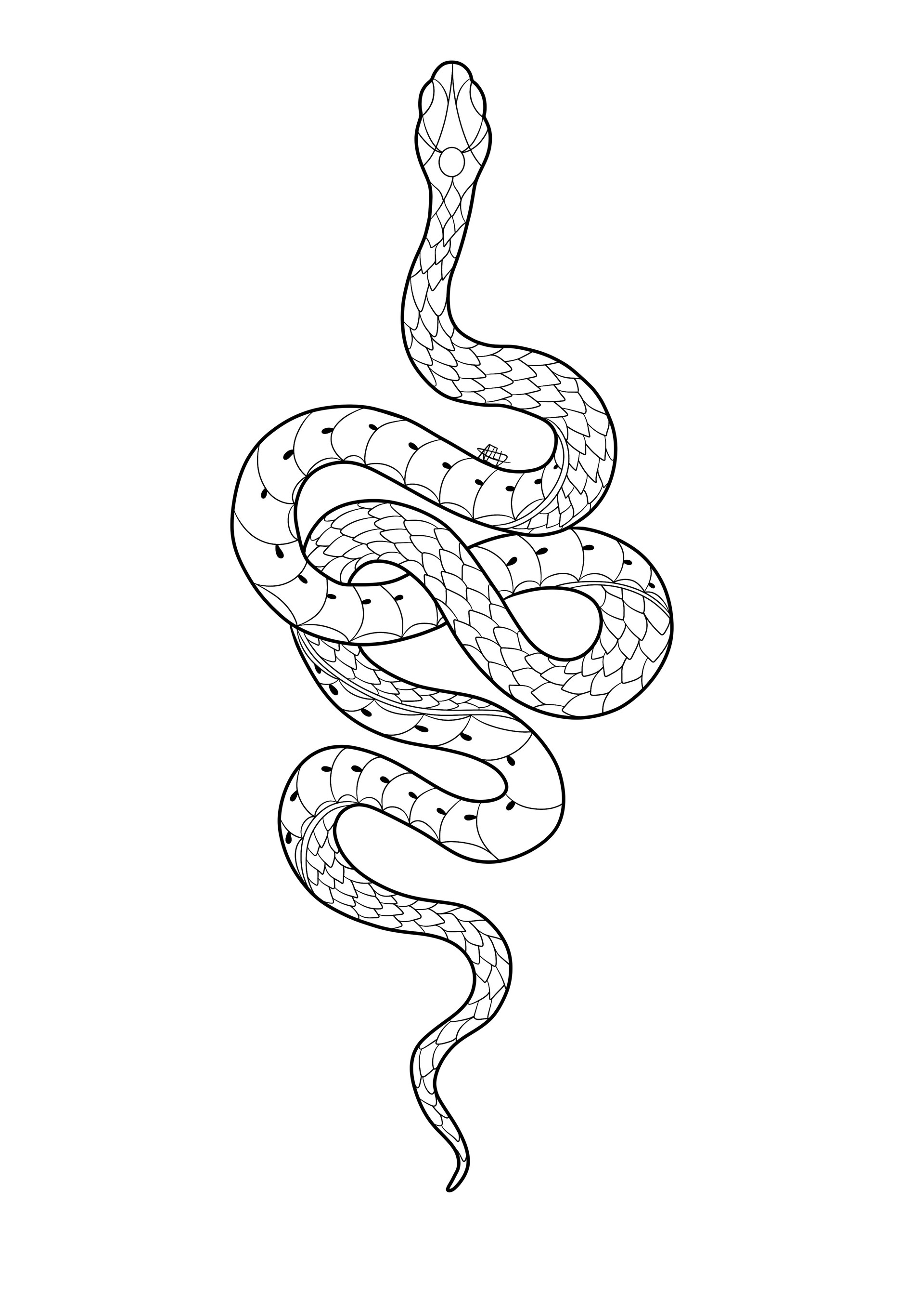 Discover 83+ snake sketch simple latest - seven.edu.vn