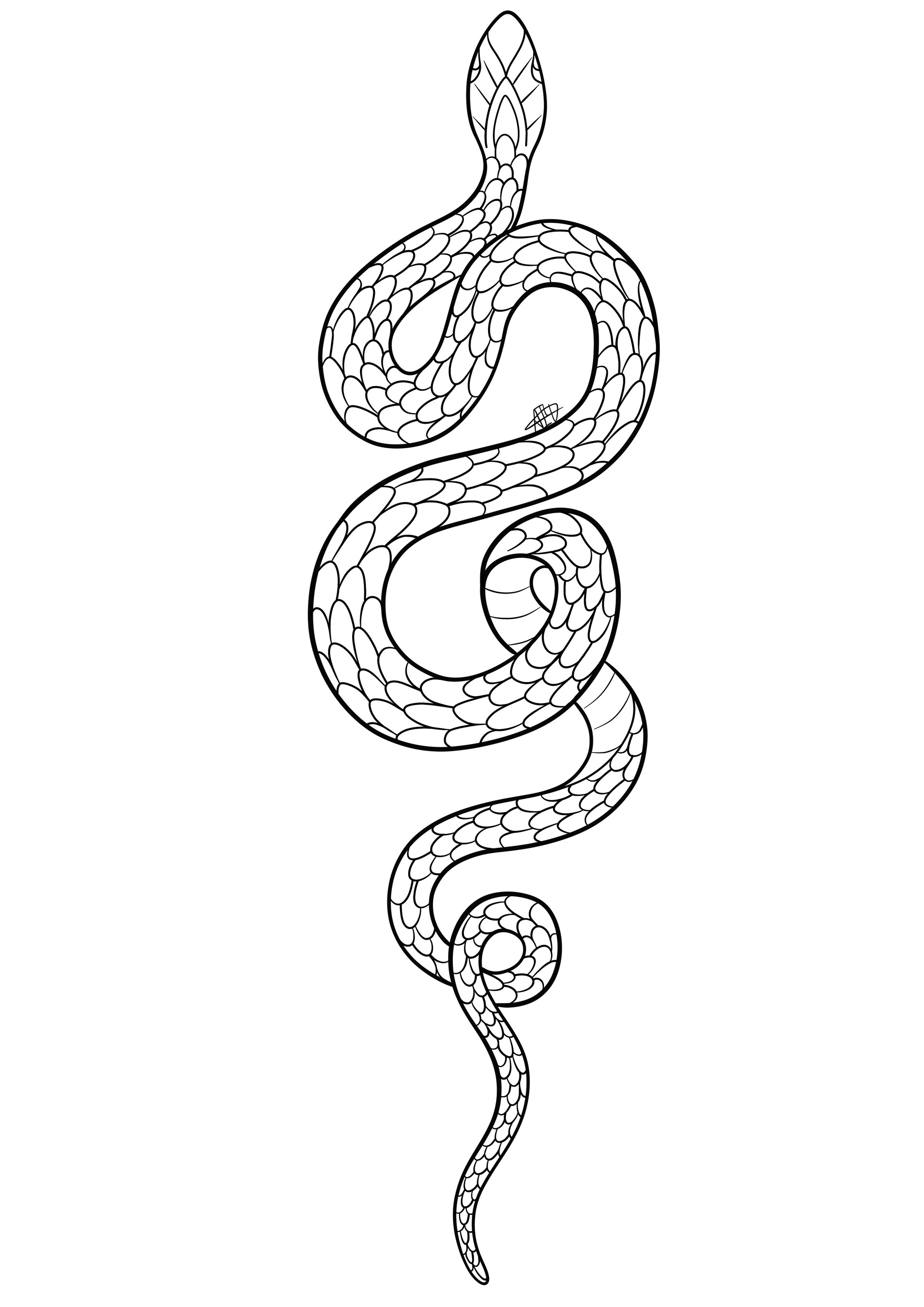 Simple Snake Tattoo Designs