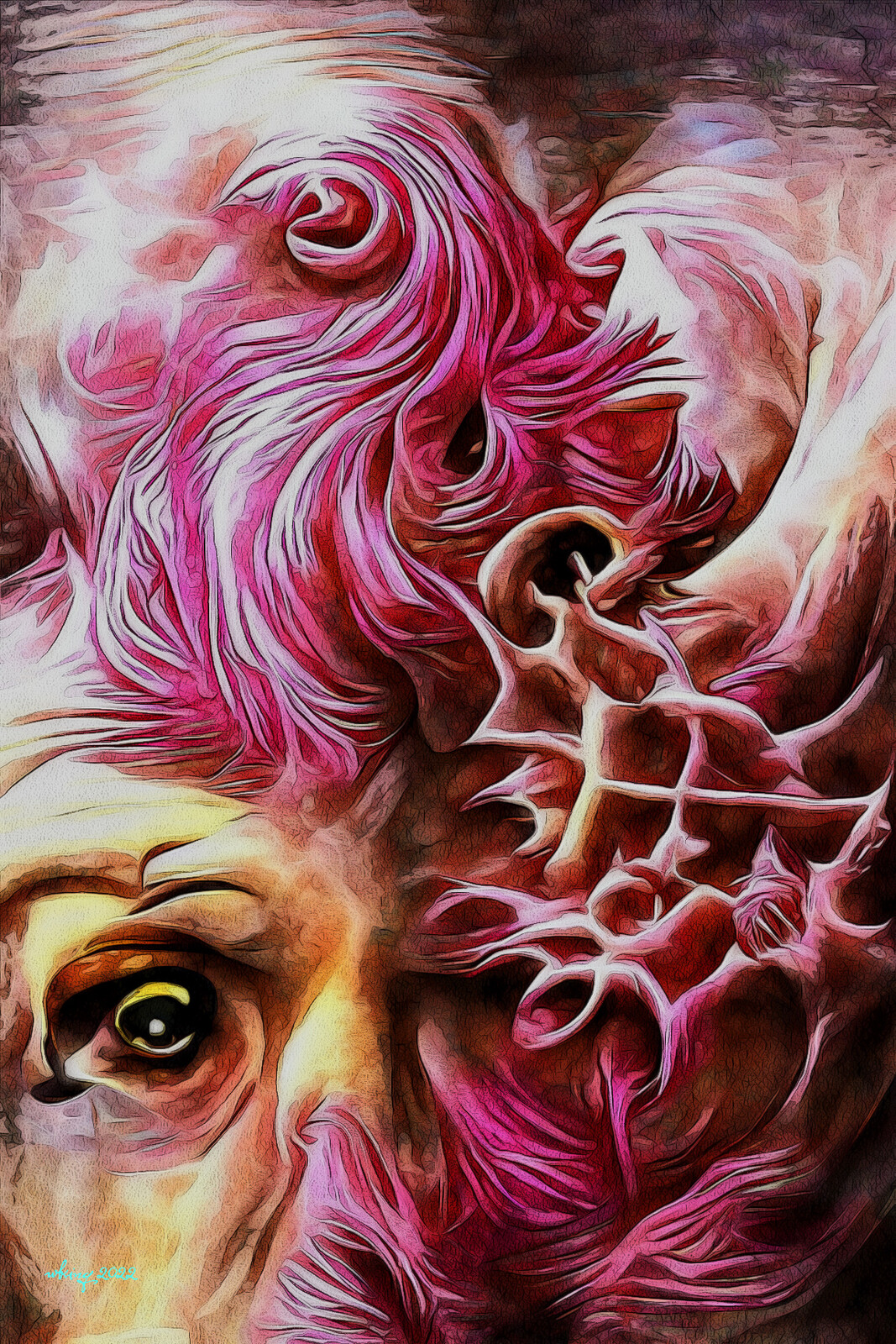 8