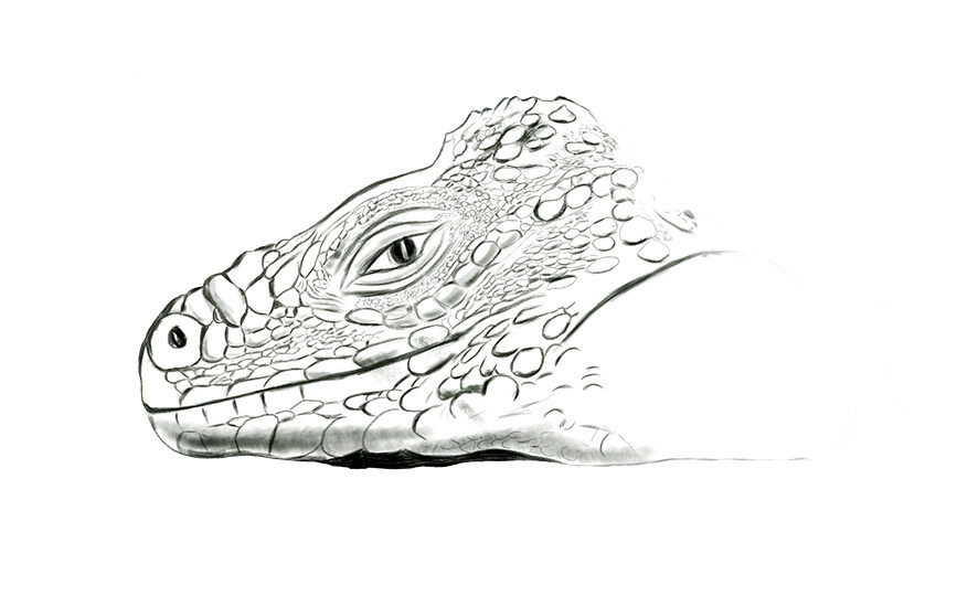 Aquargo sketch 1