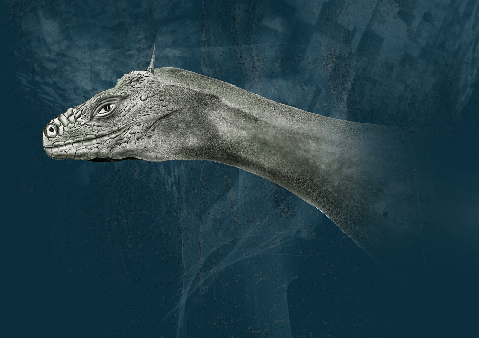 Aquargo - grey