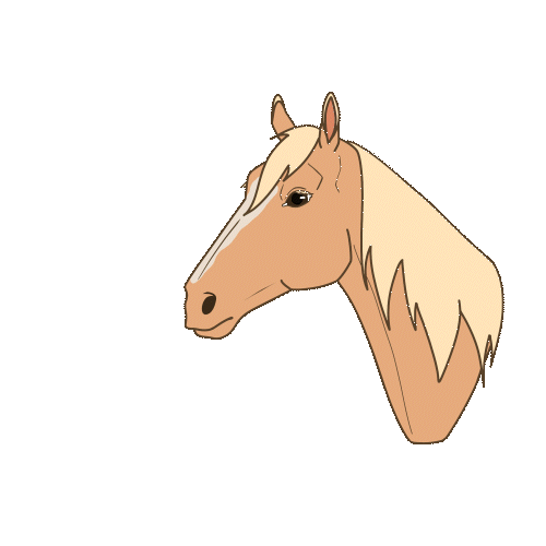 Amy Cooper Horse Animations