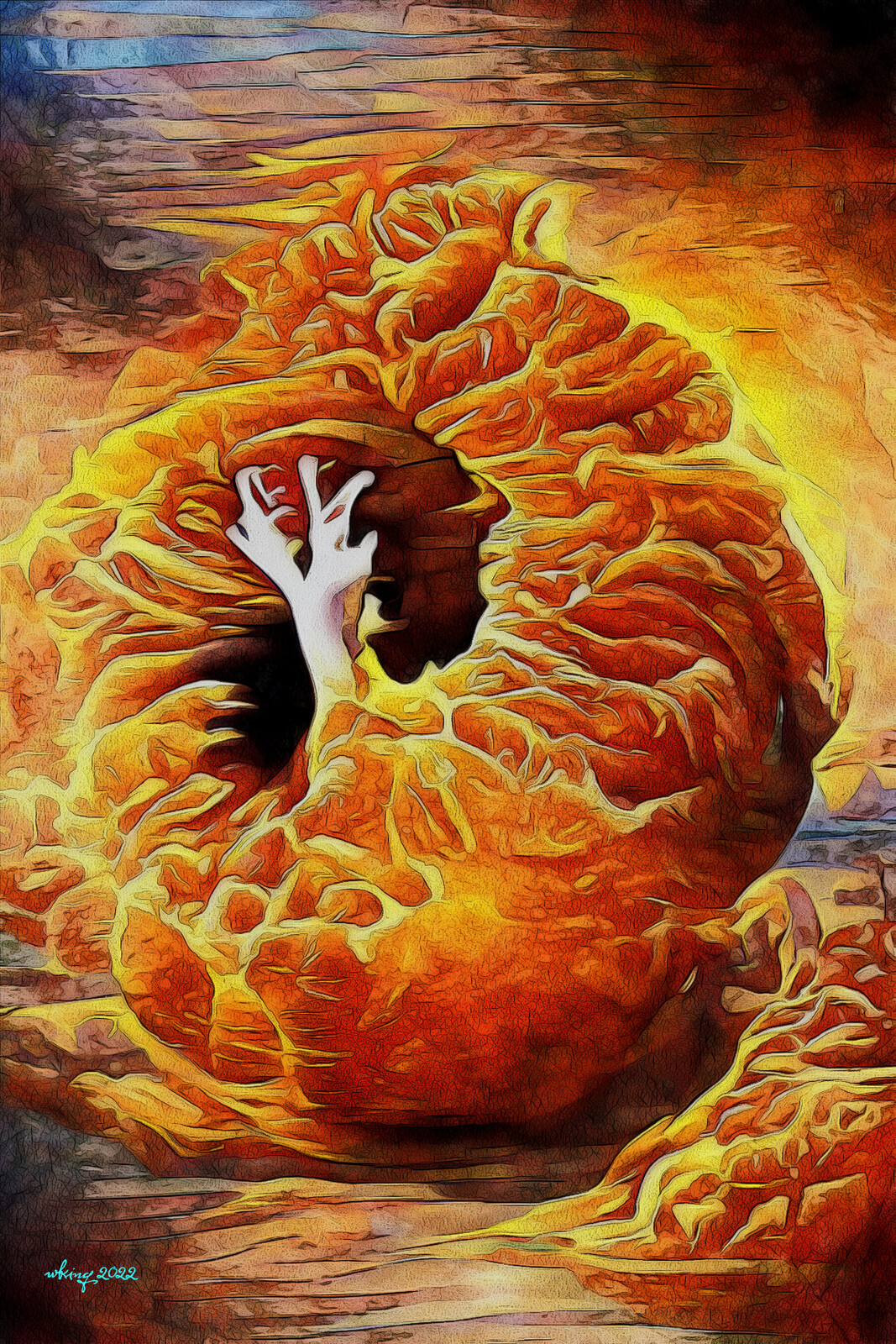 81