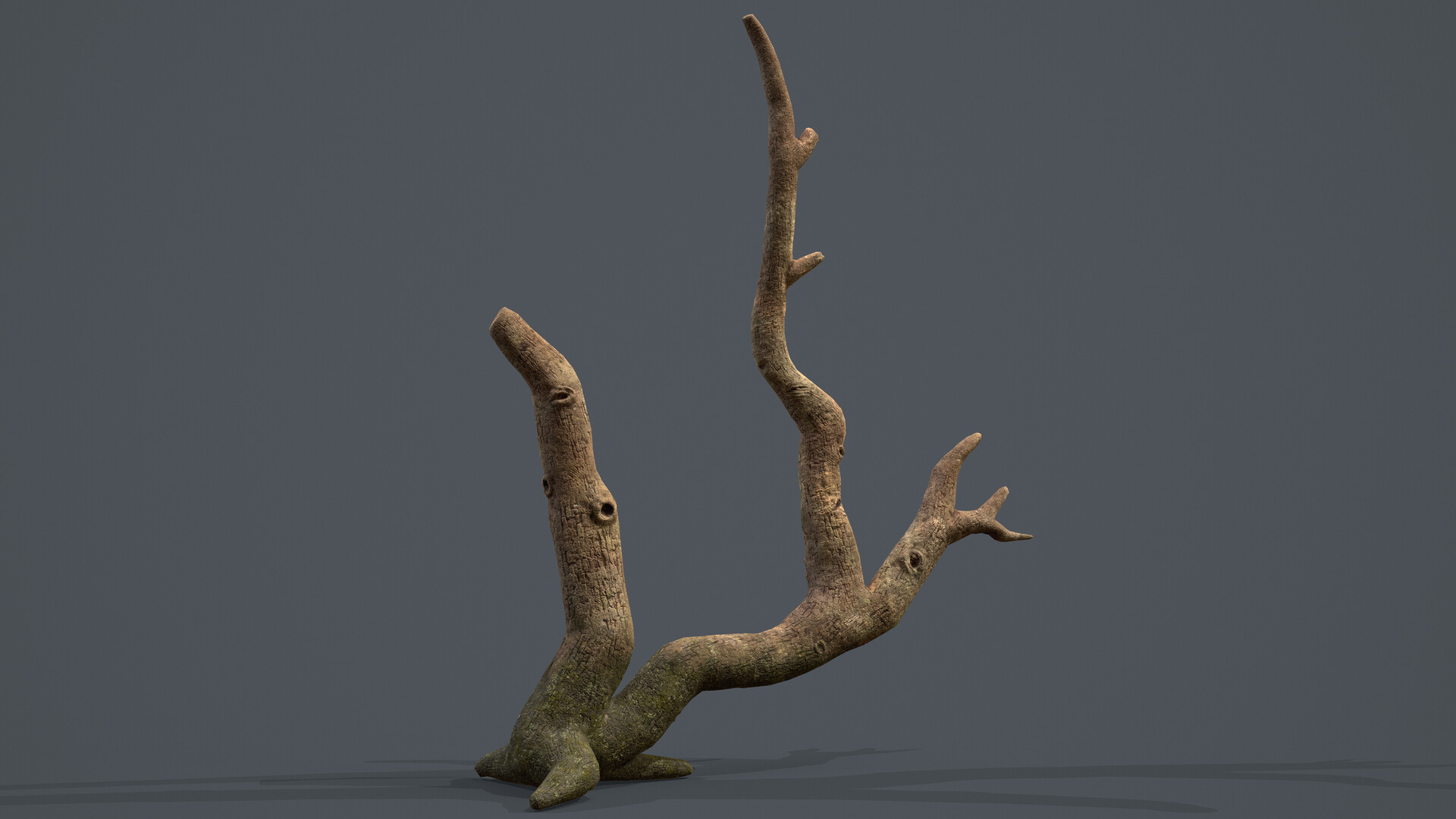 ArtStation - Small Dead Tree Game Asset