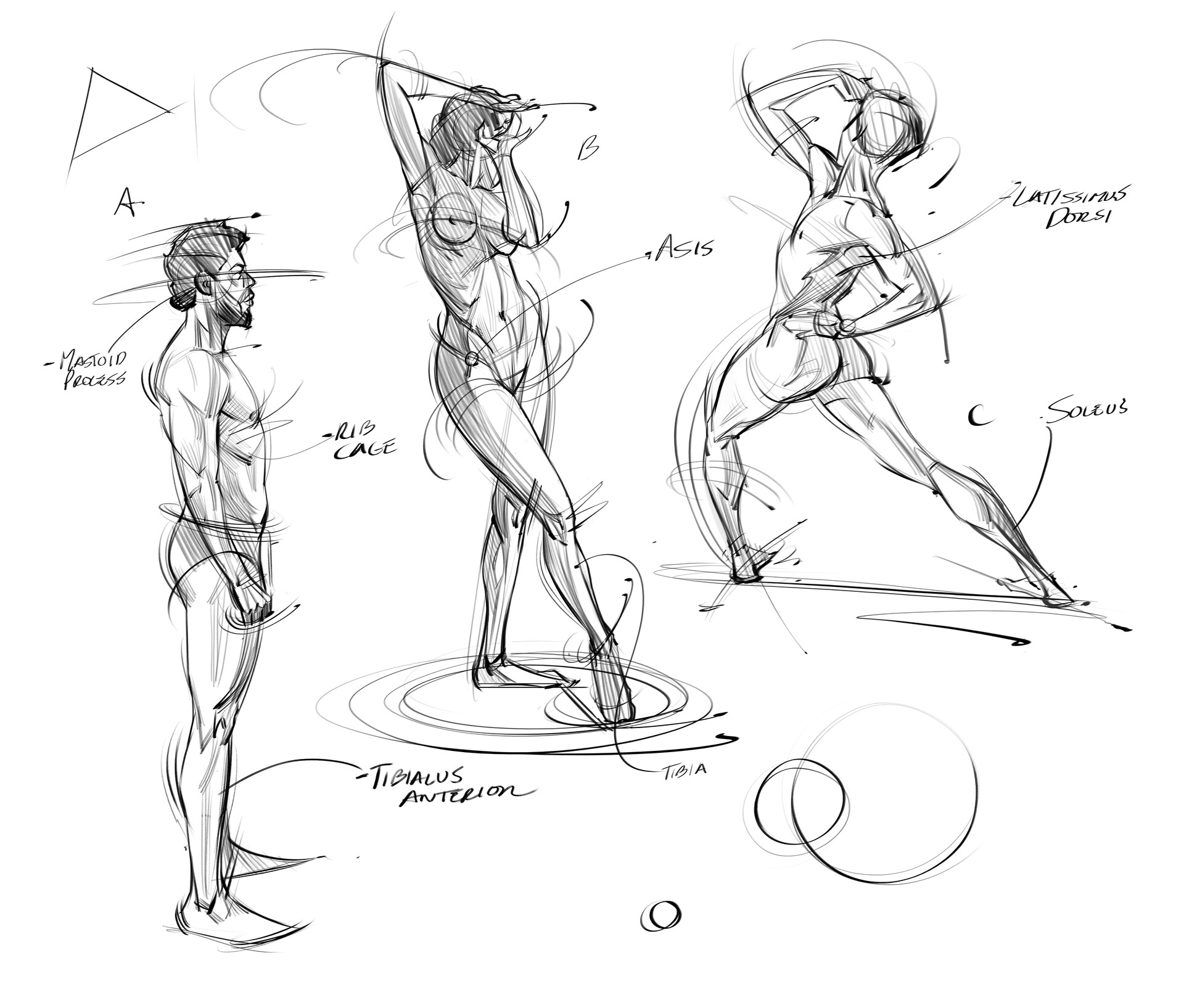 Конкурс аниме рисунков 2023