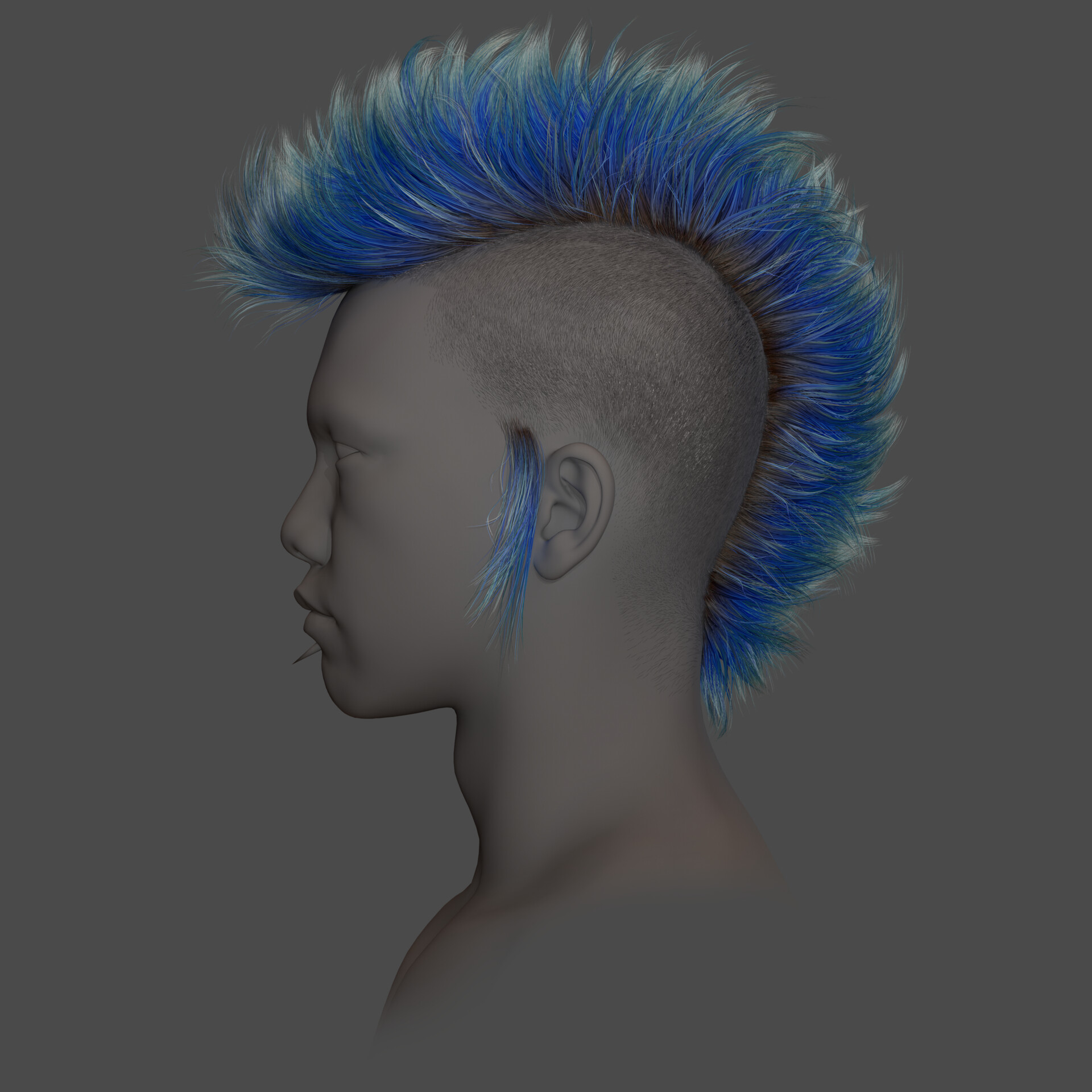 Mohawk blue shop