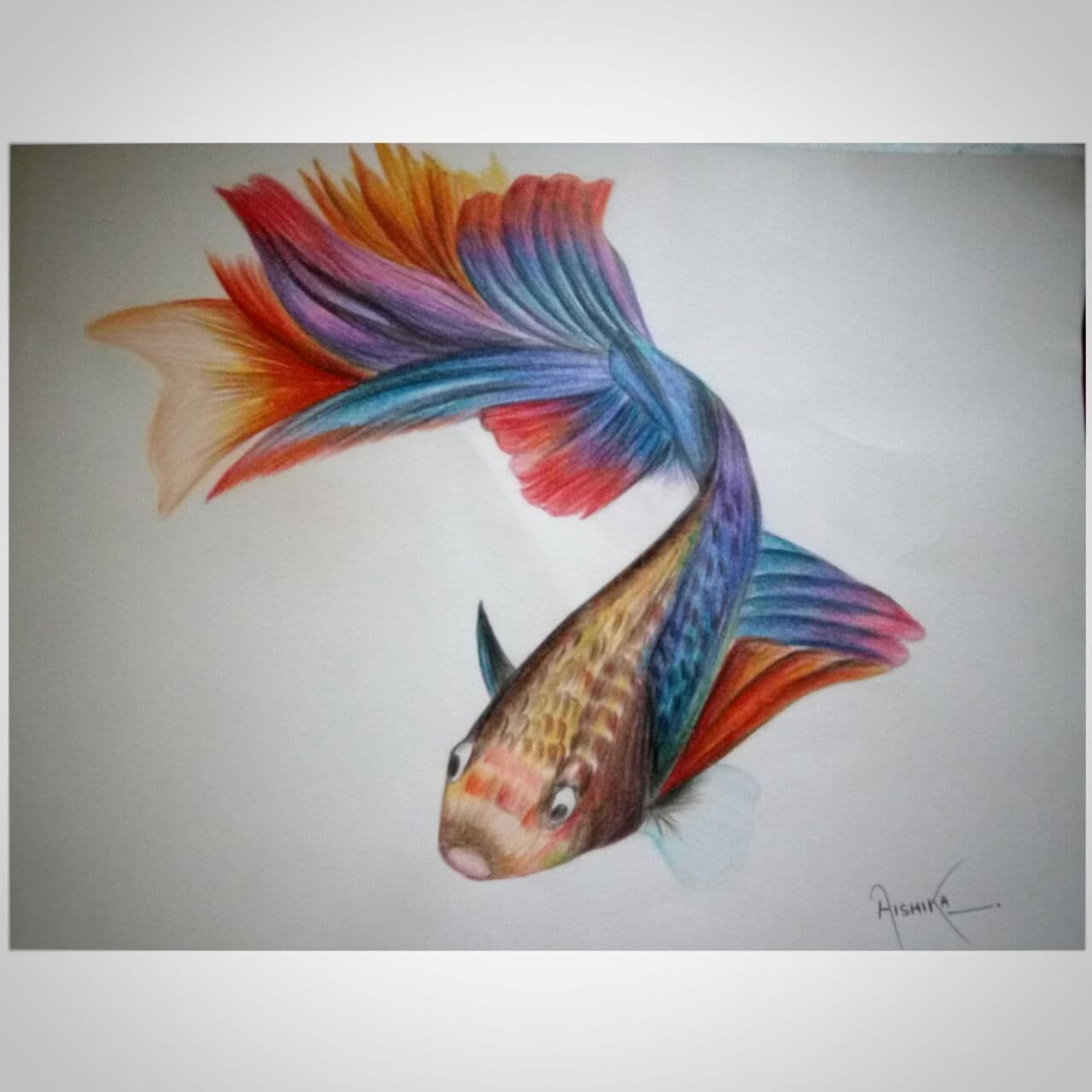 How to draw realistic fish || Realistic colourfull fish drawing || jenny's  world - YouTube