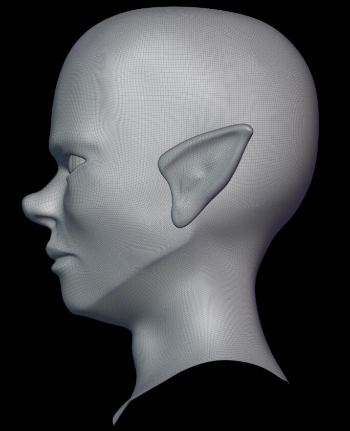 Male Base Face - Side - Day 2