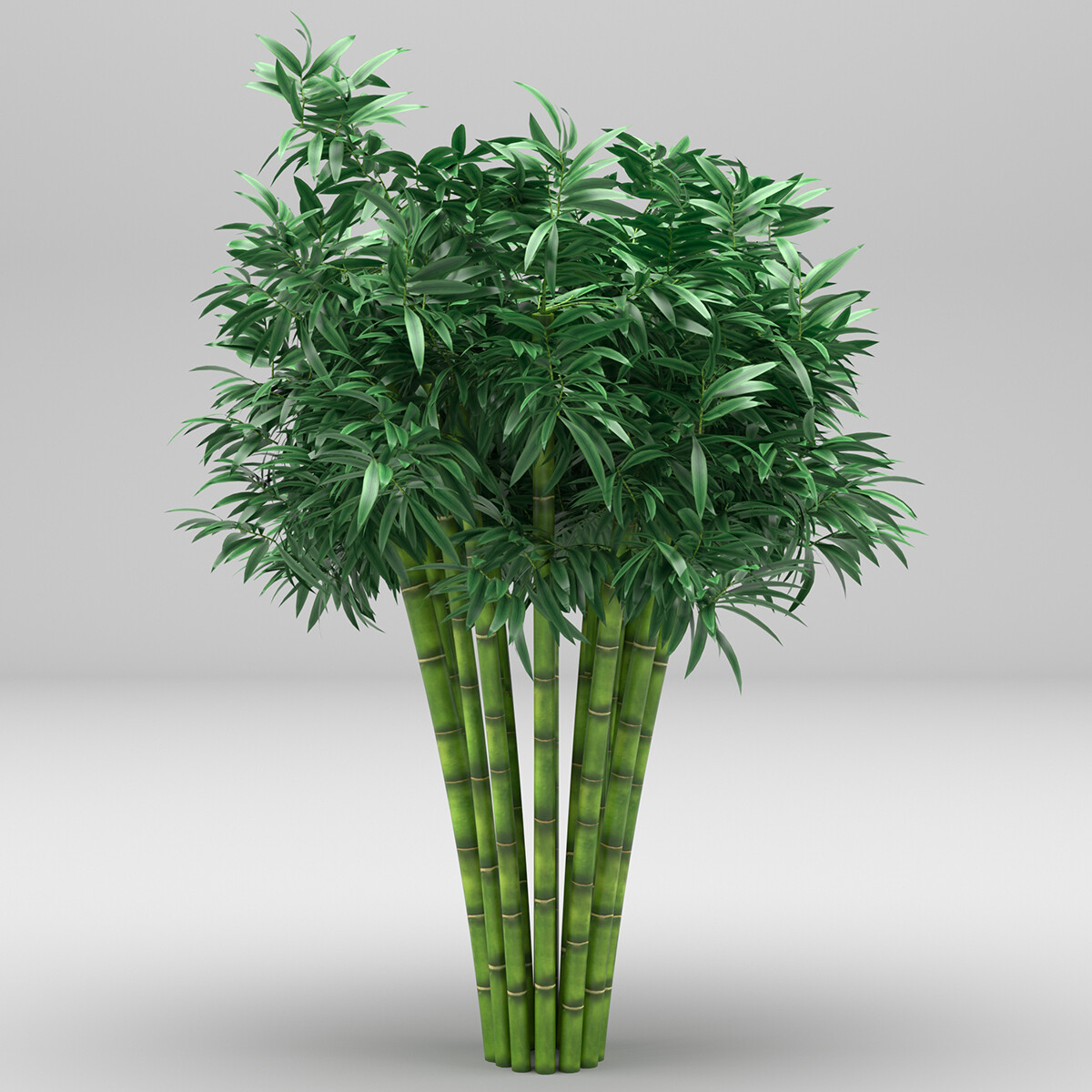 ArtStation - Bamboo 3D Model