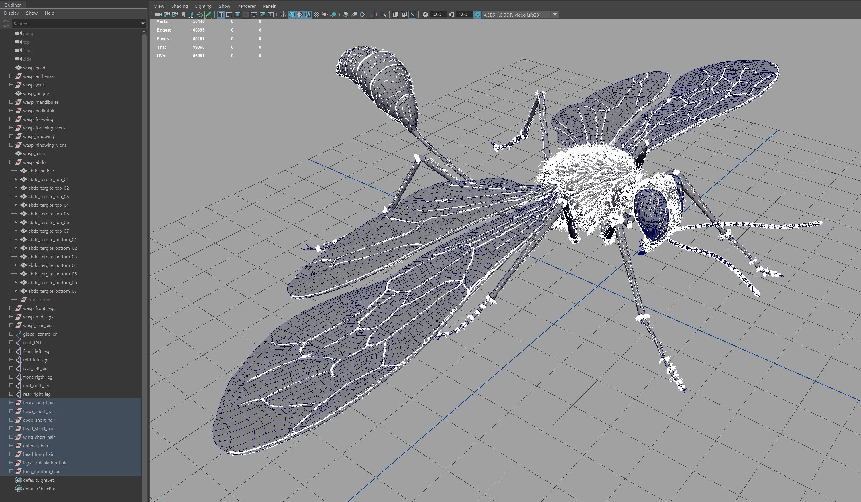 Hair in Maya