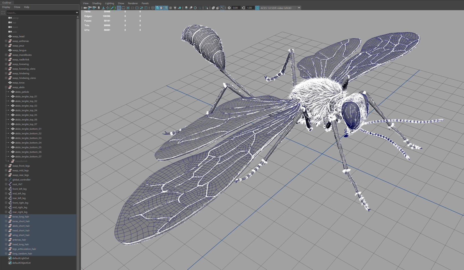 Hair in Maya